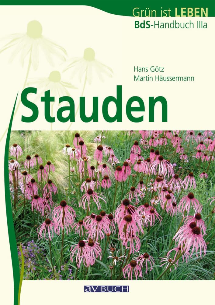 Stauden Film, Art & Culture