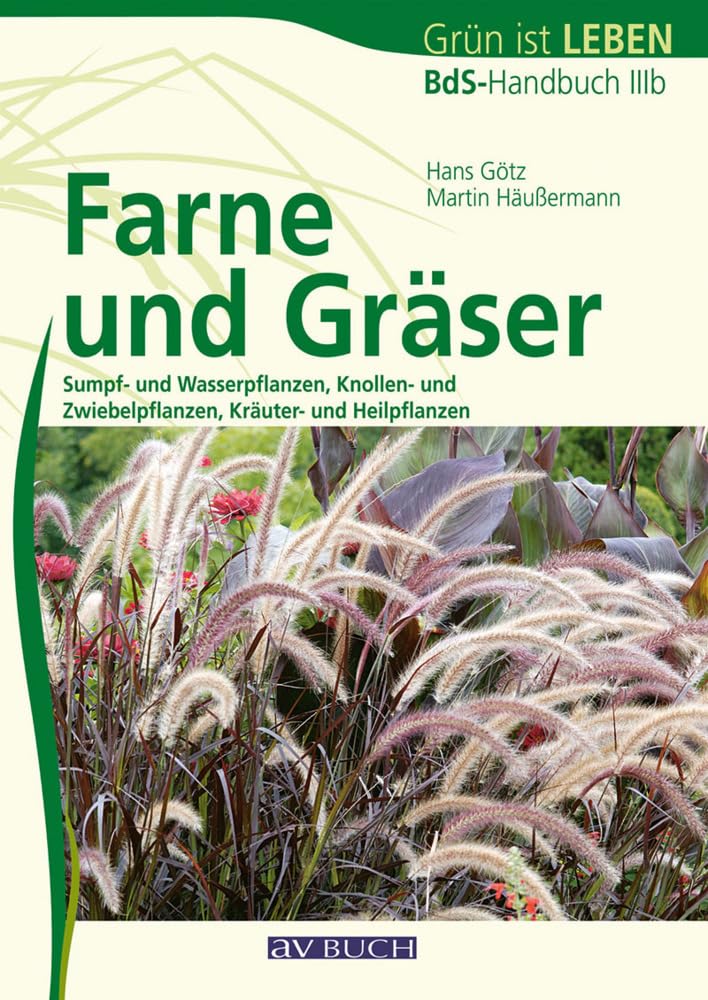 Product Image: Farne und Gräser