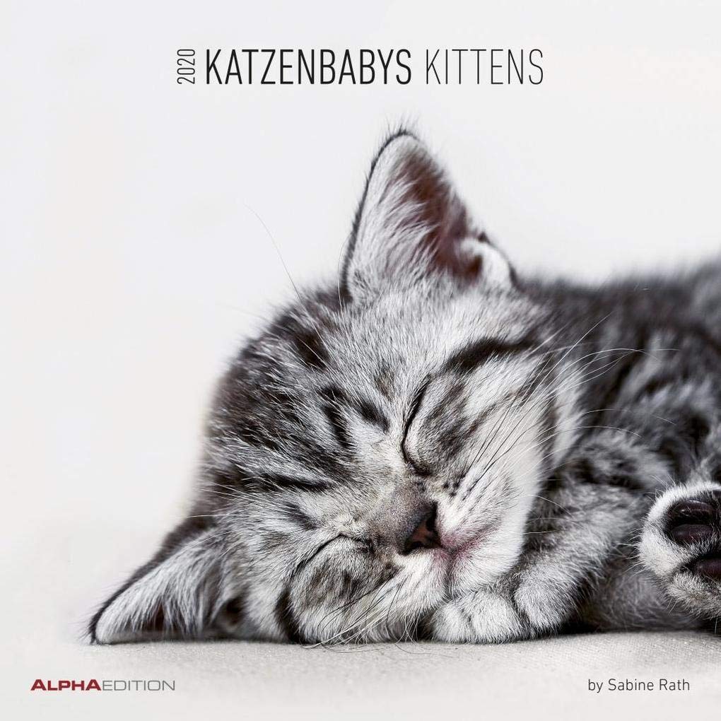Katzenbabys 2020 - Kittens - Wandkalender - Broschürenkalender (30 x 60 geöffnet) - Tierkalender - Wandplaner: by Sabine Rath Leisure, Home & Garden
