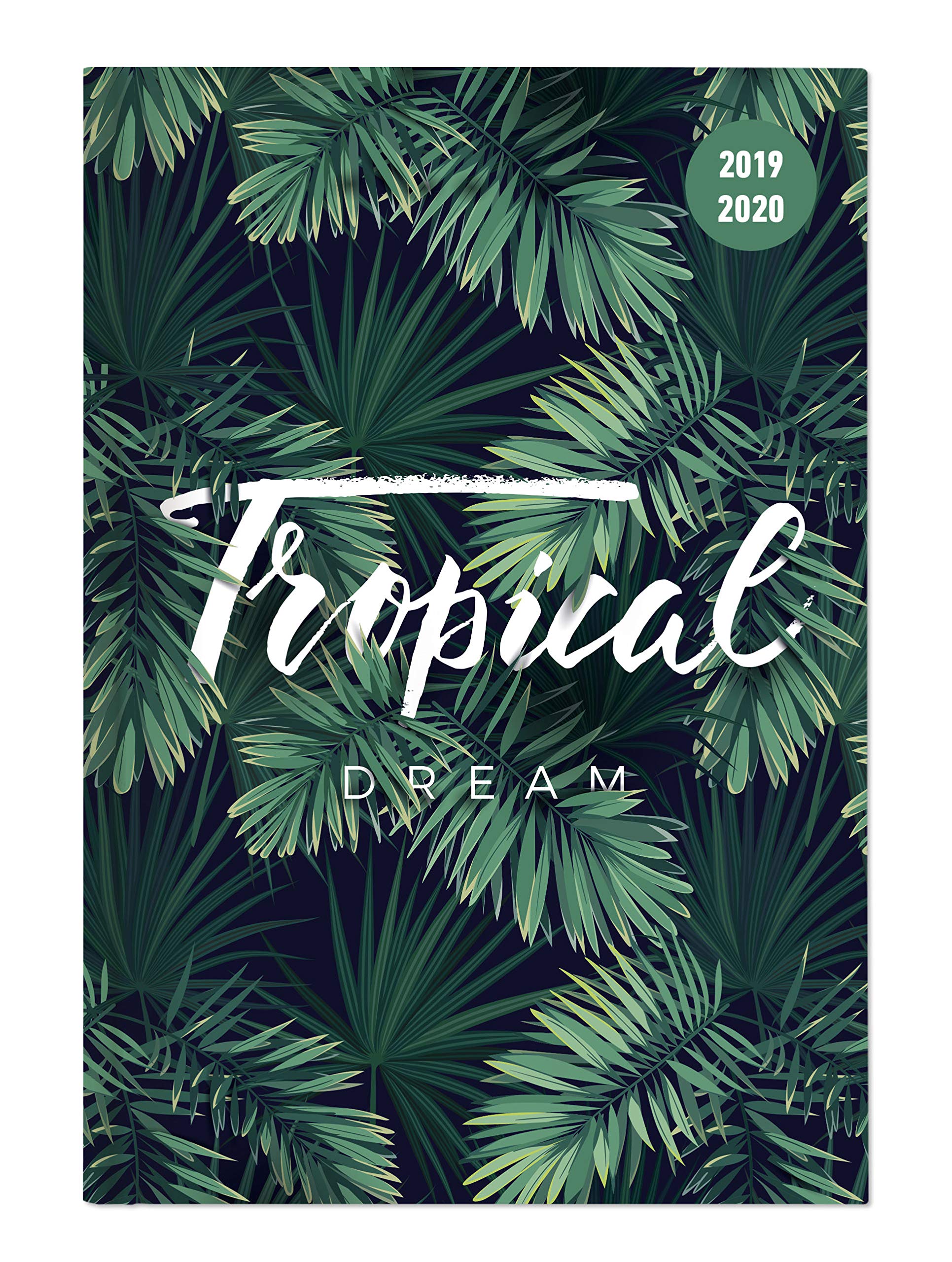 Collegetimer Jungle 2019/2020 - Schülerkalender A5 (15 x 21) - Day By Day - 352 Seiten - Terminplaner - Notizbuch: Tropical Dream. Schülerkalender A5. Terminplaner - Notizbuch Leisure, Home & Garden