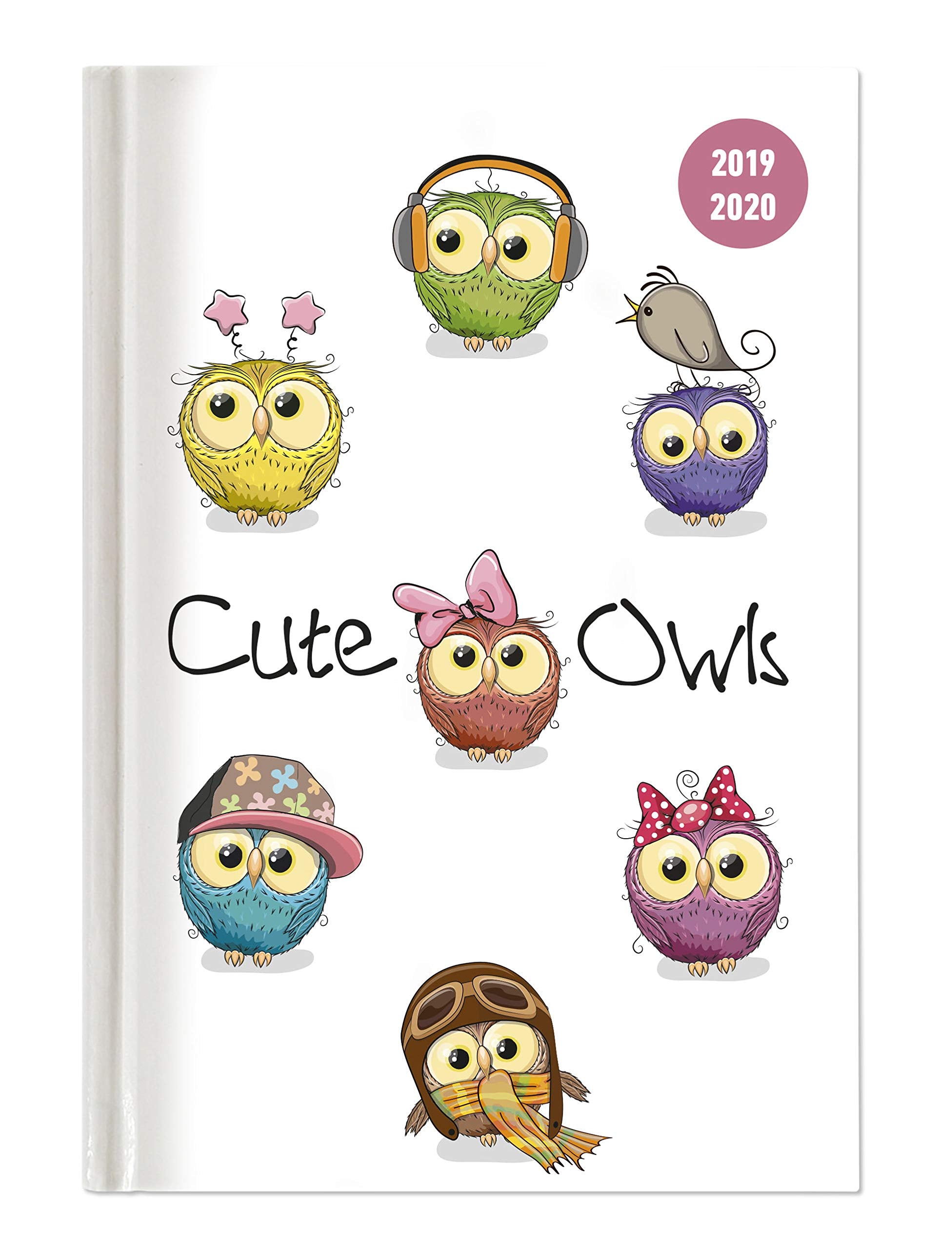 Collegetimer Cute Owls 2019/2020 - Eule - Schülerkalender A5 (15 x 21) - Day By Day - 352 Seiten - Terminplaner - Notizbuch Leisure, Home & Garden