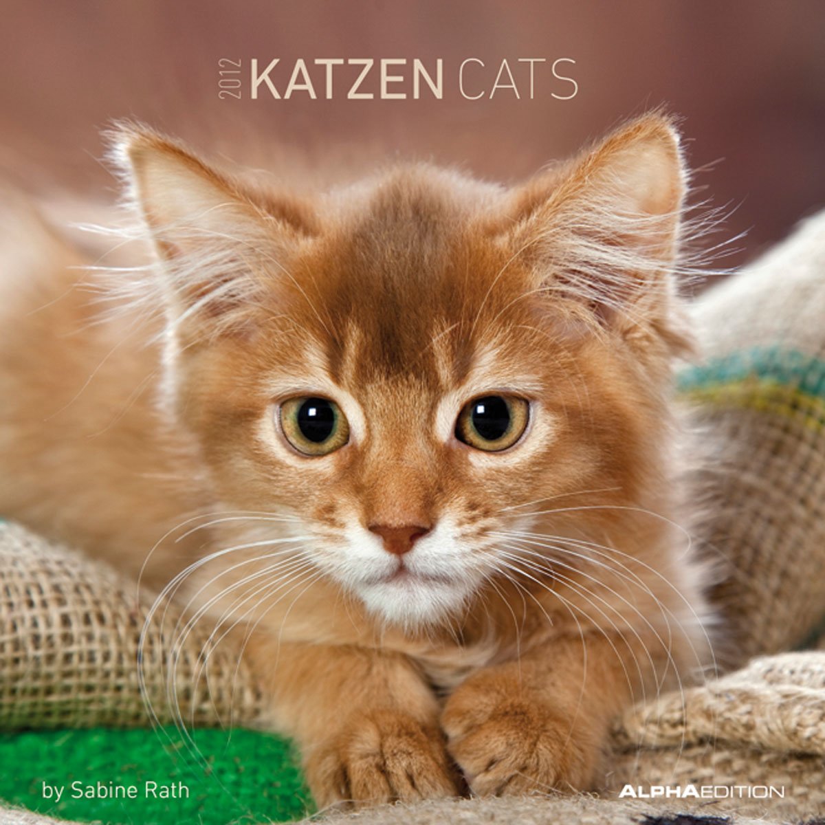Katzen 2012. Broschürenkalender 30 x 30 cm Calendars