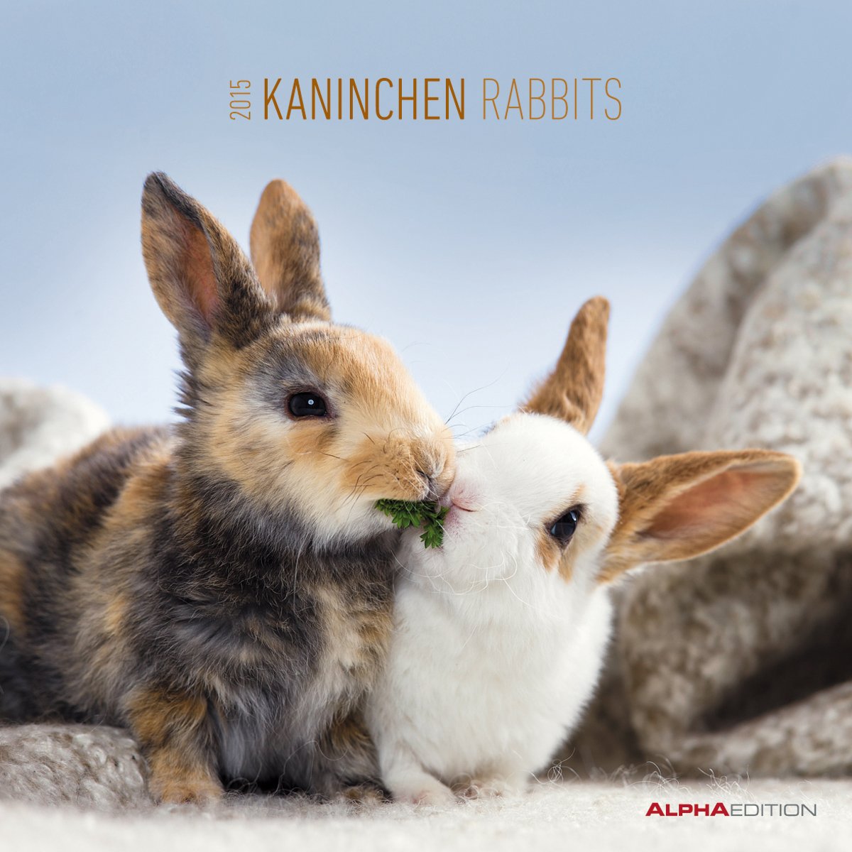 Kanninchen 2015 - Rabbits - Broschürenkalender (30 x 60 geöffnet) - Tierkalender book