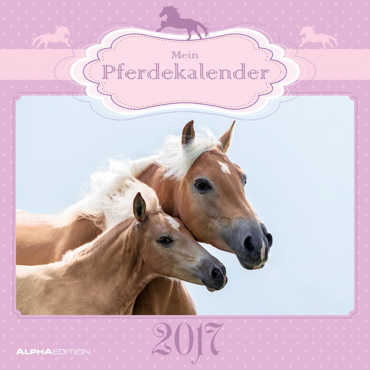 Mein Pferdekalender 2017 - Broschürenkalender (30 x 60 geöffnet) - Tierkalender - Wandplaner: Broschürenkalender. Terminkalender Leisure, Home & Garden