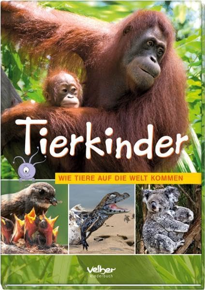 Tierkinder: Wie Tiere auf die Welt kommen Non-fiction