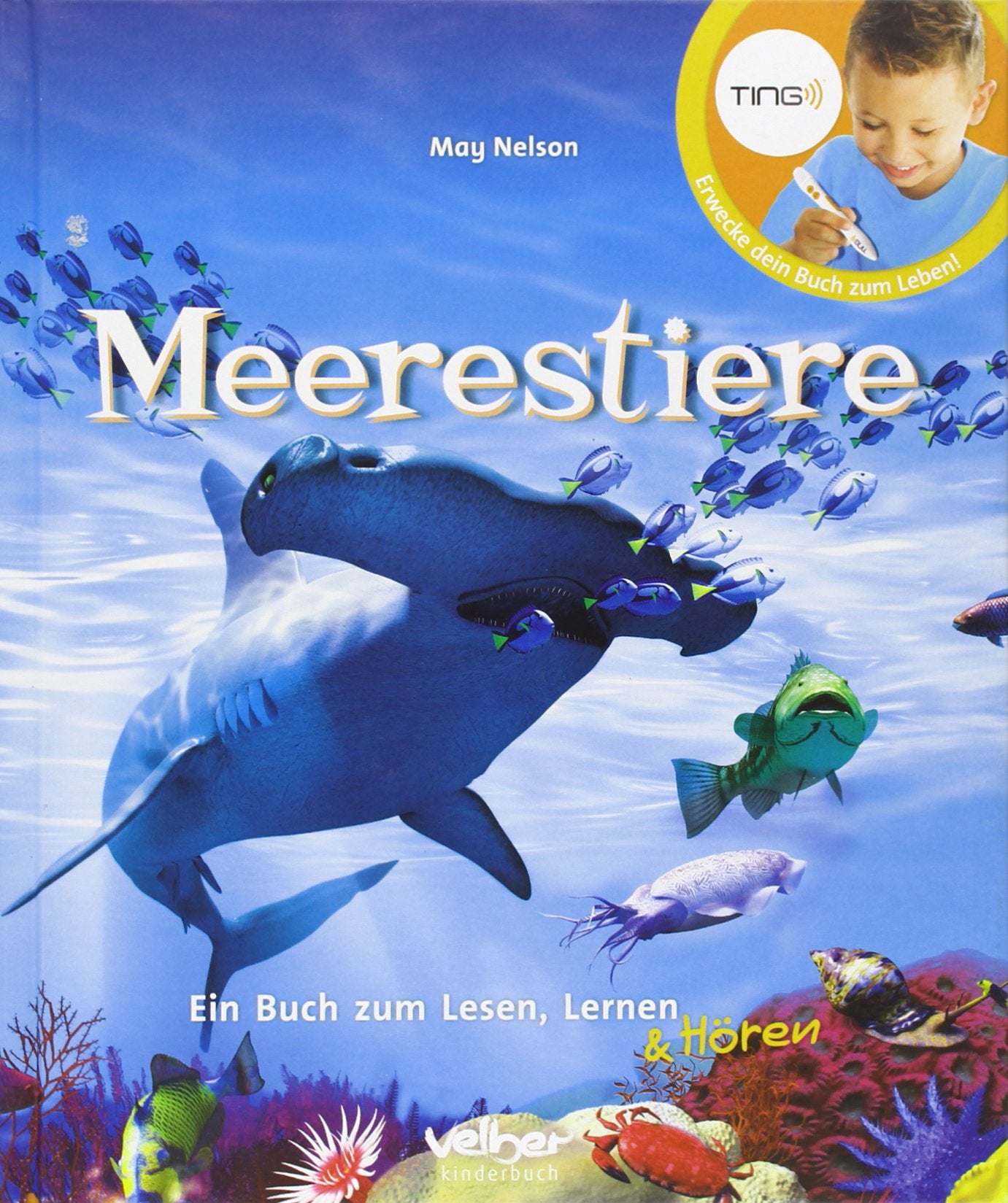 TING: Meerestiere - Ein Buch zum Lesen, Lernen und Hören Non-fiction
