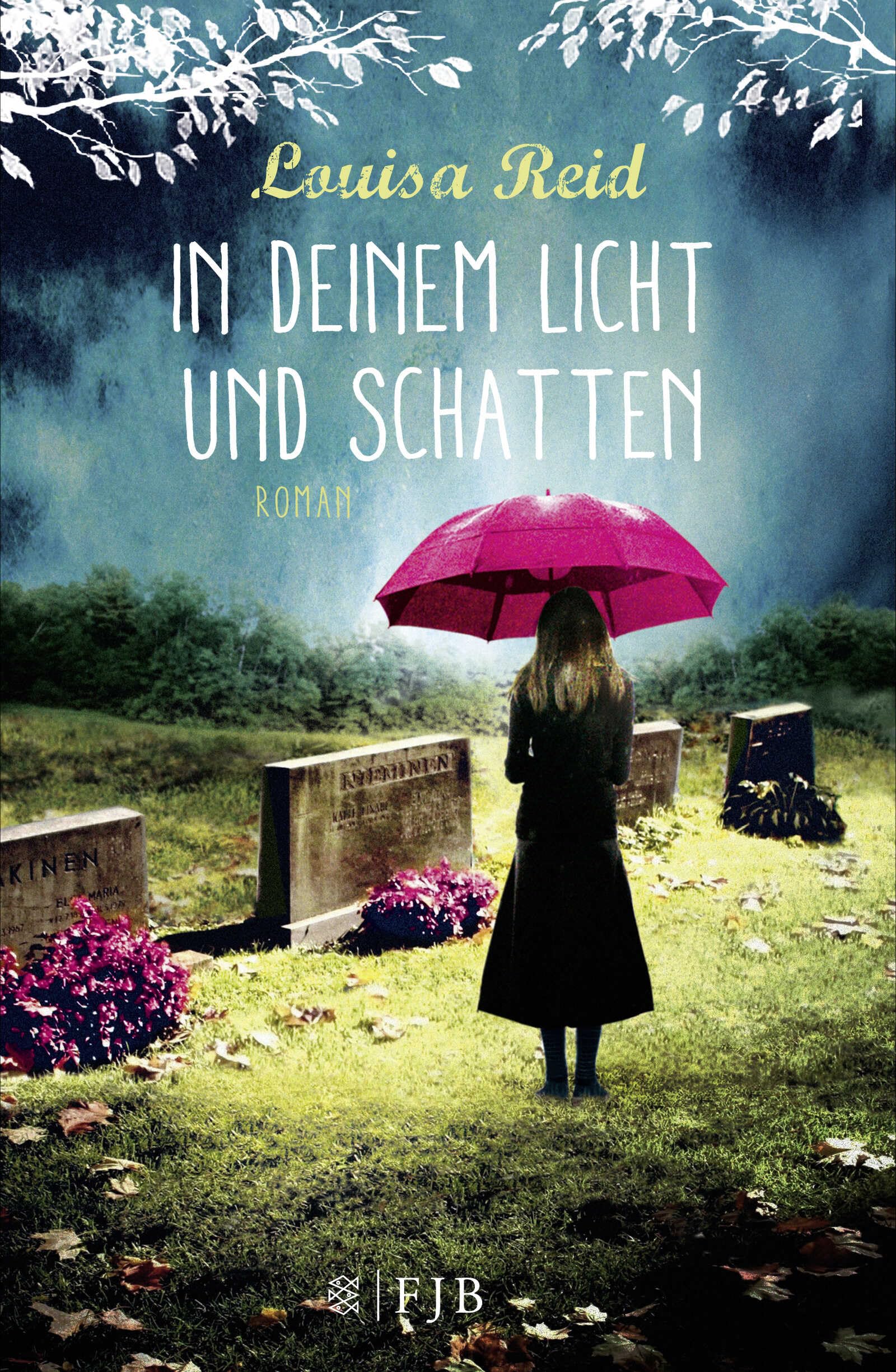 In deinem Licht und Schatten Contemporary literature