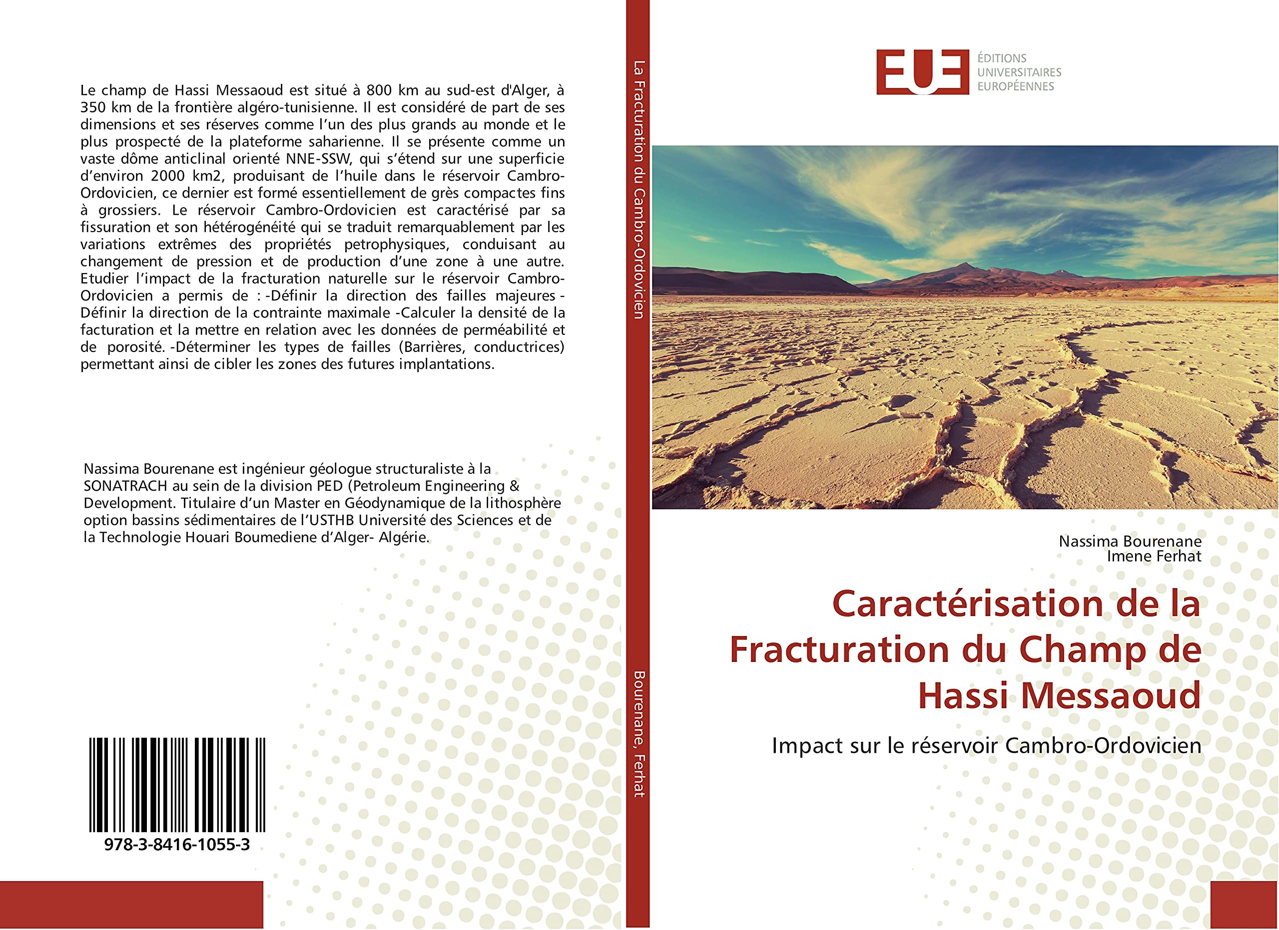 Caractérisation de la Fracturation du Champ de Hassi Messaoud: Impact sur le réservoir Cambro-Ordovicien book