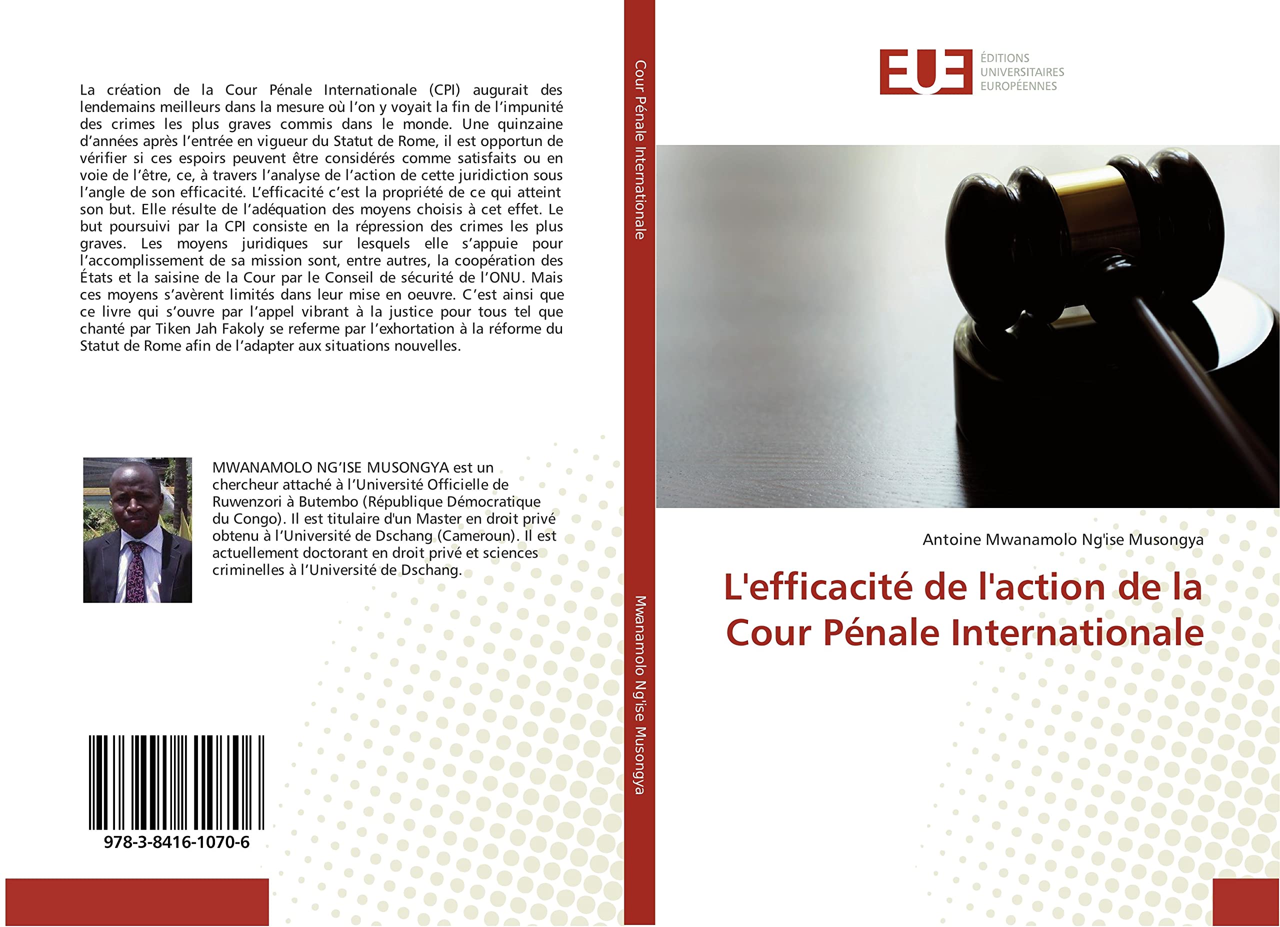 L'efficacité de l'action de la Cour Pénale Internationale book