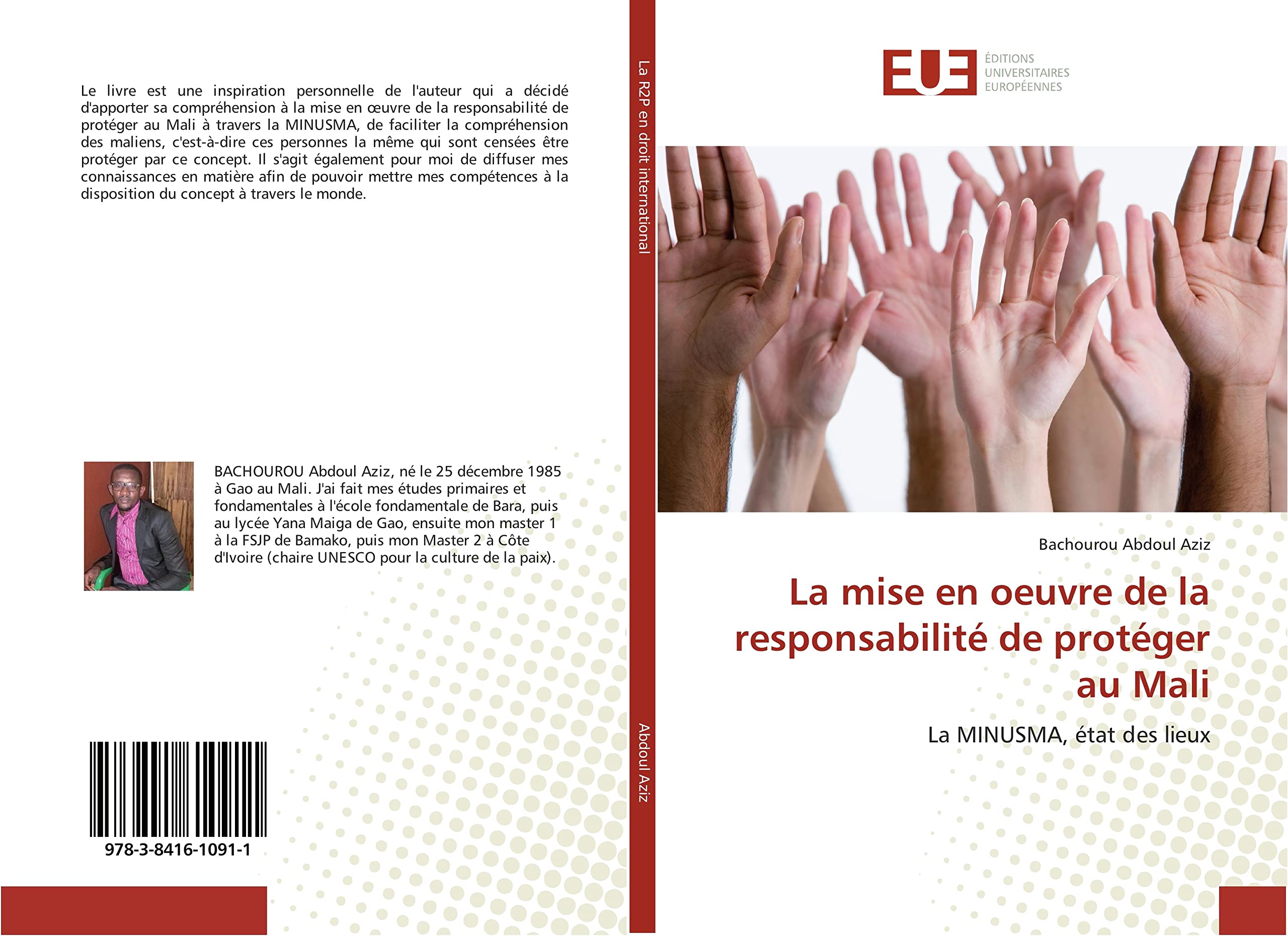 La mise en oeuvre de la responsabilité de protéger au Mali book