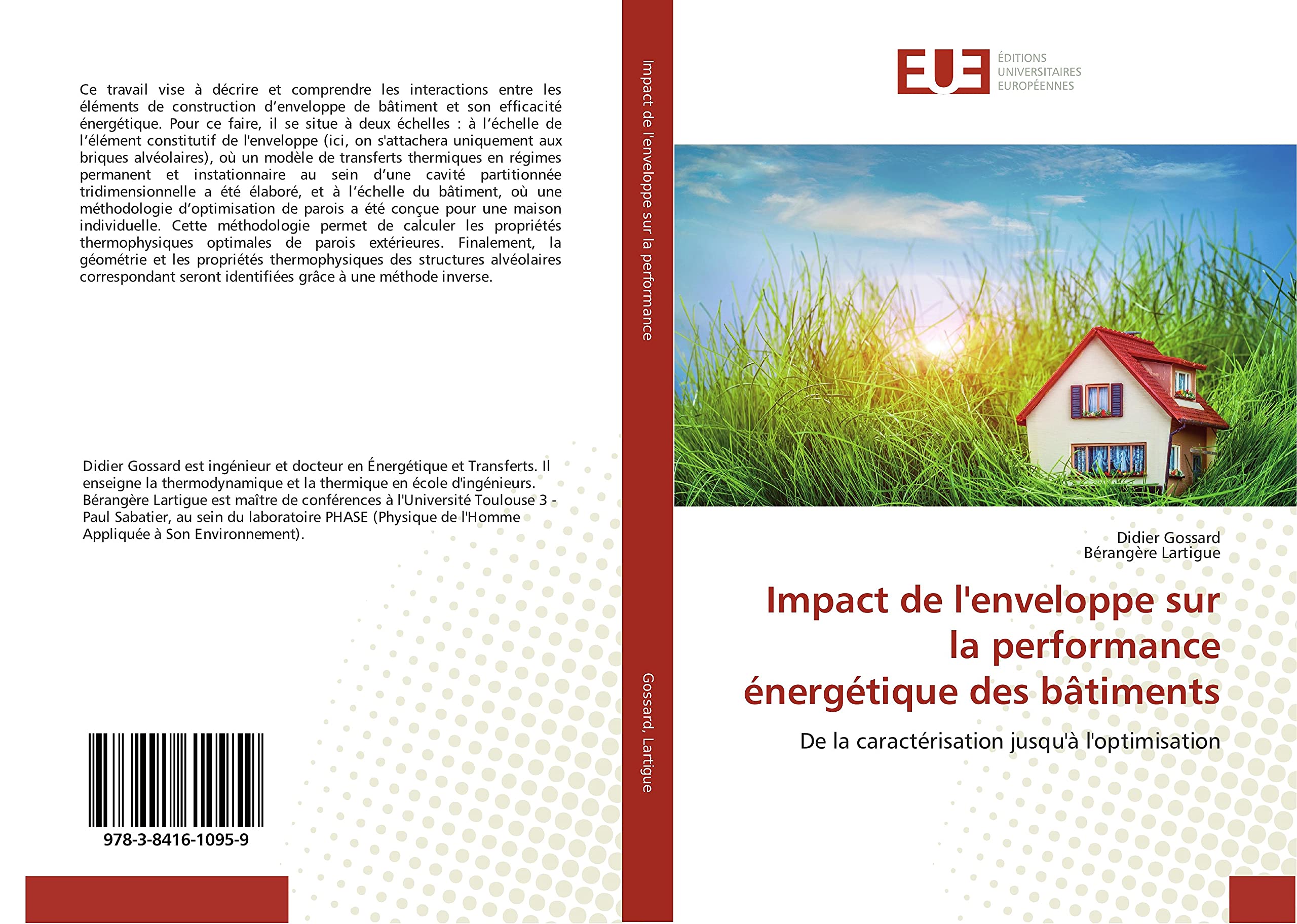 Impact de l'enveloppe sur la performance énergétique des bâtiments: De la caractérisation jusqu'à l'optimisation book