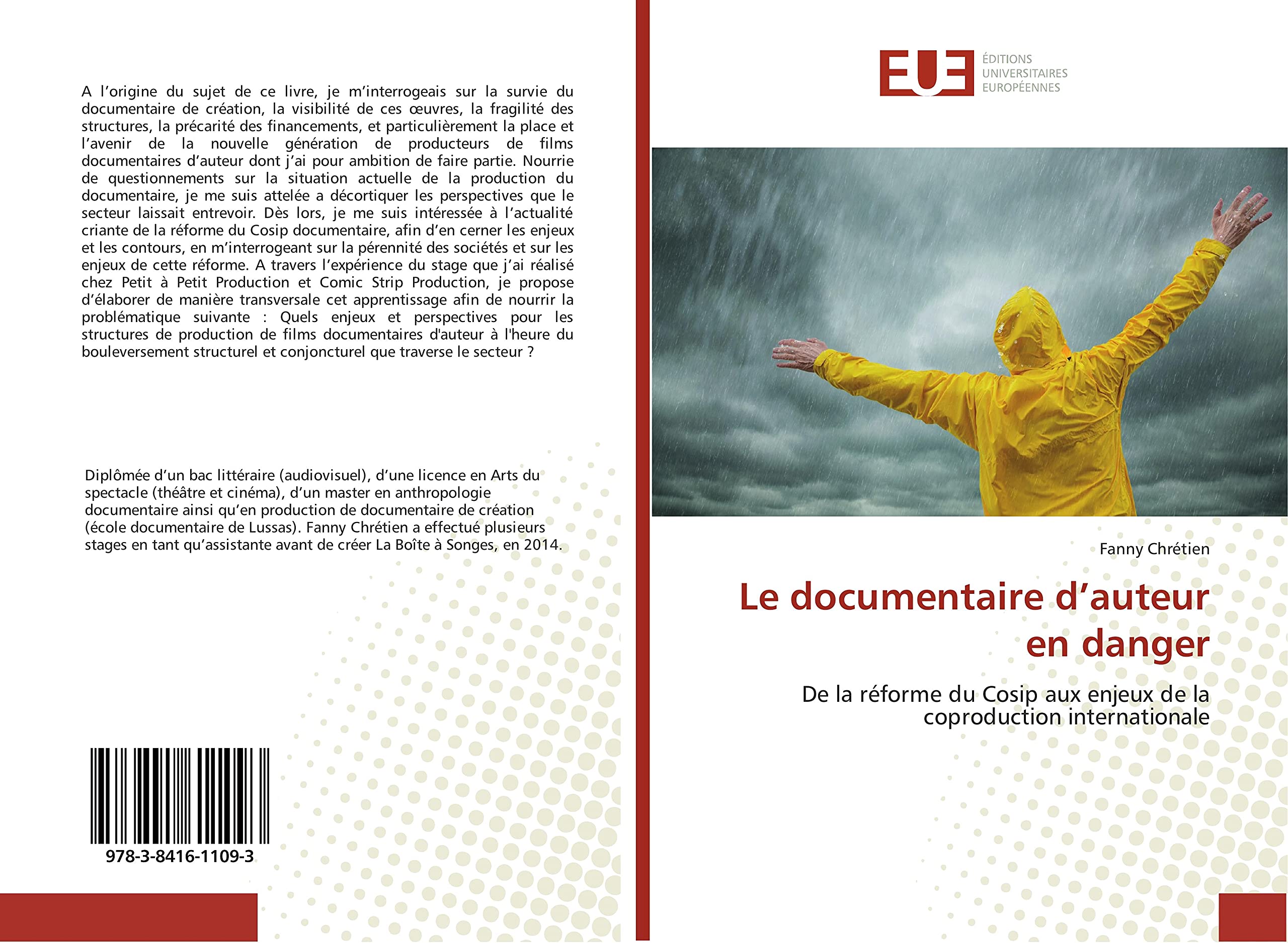 Le documentaire d’auteur en danger: De la réforme du Cosip aux enjeux de la coproduction internationale book