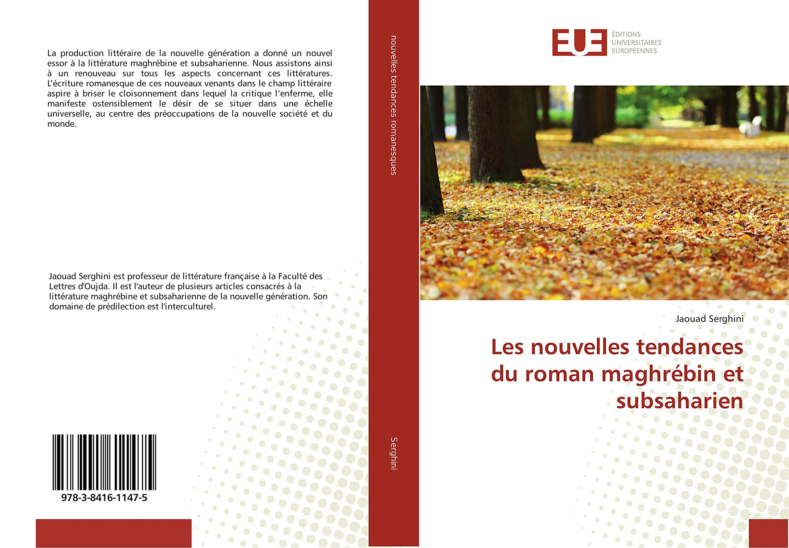 Les nouvelles tendances du roman maghrébin et subsaharien book