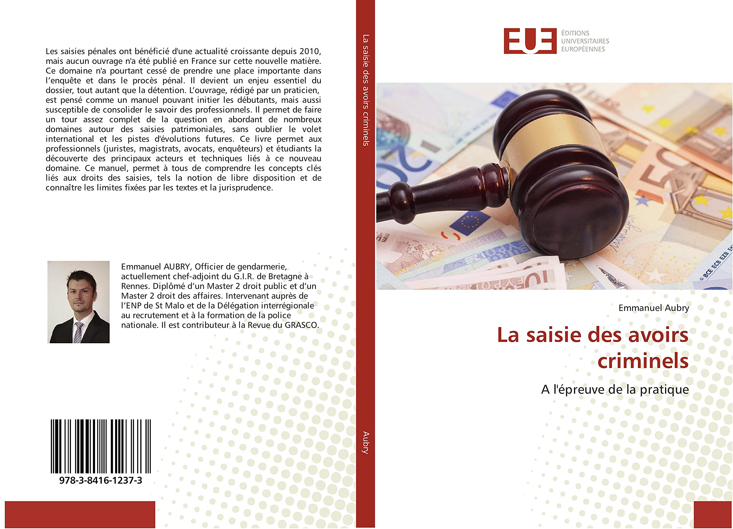La saisie des avoirs criminels: A l'épreuve de la pratique book