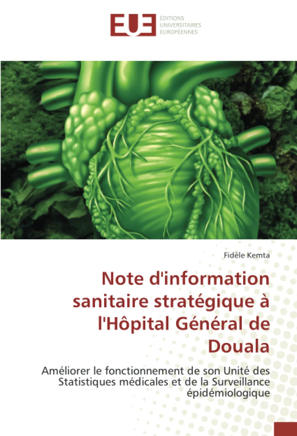 Note d'information sanitaire stratégique à l'Hôpital Général de Douala: Améliorer le fonctionnement de son Unité des Statistiques médicales et de la Surveillance épidémiologique book