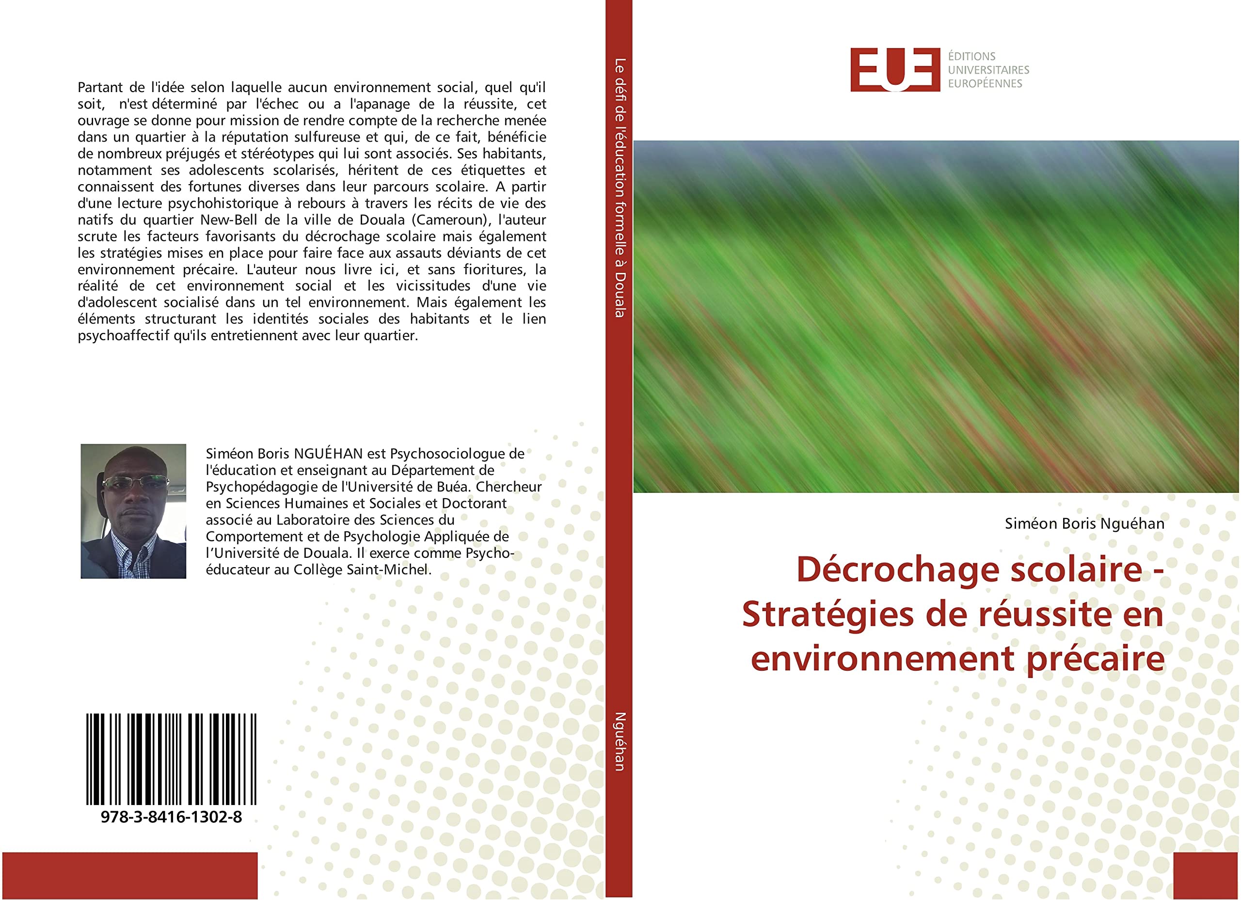 Décrochage scolaire - Stratégies de réussite en environnement précaire book