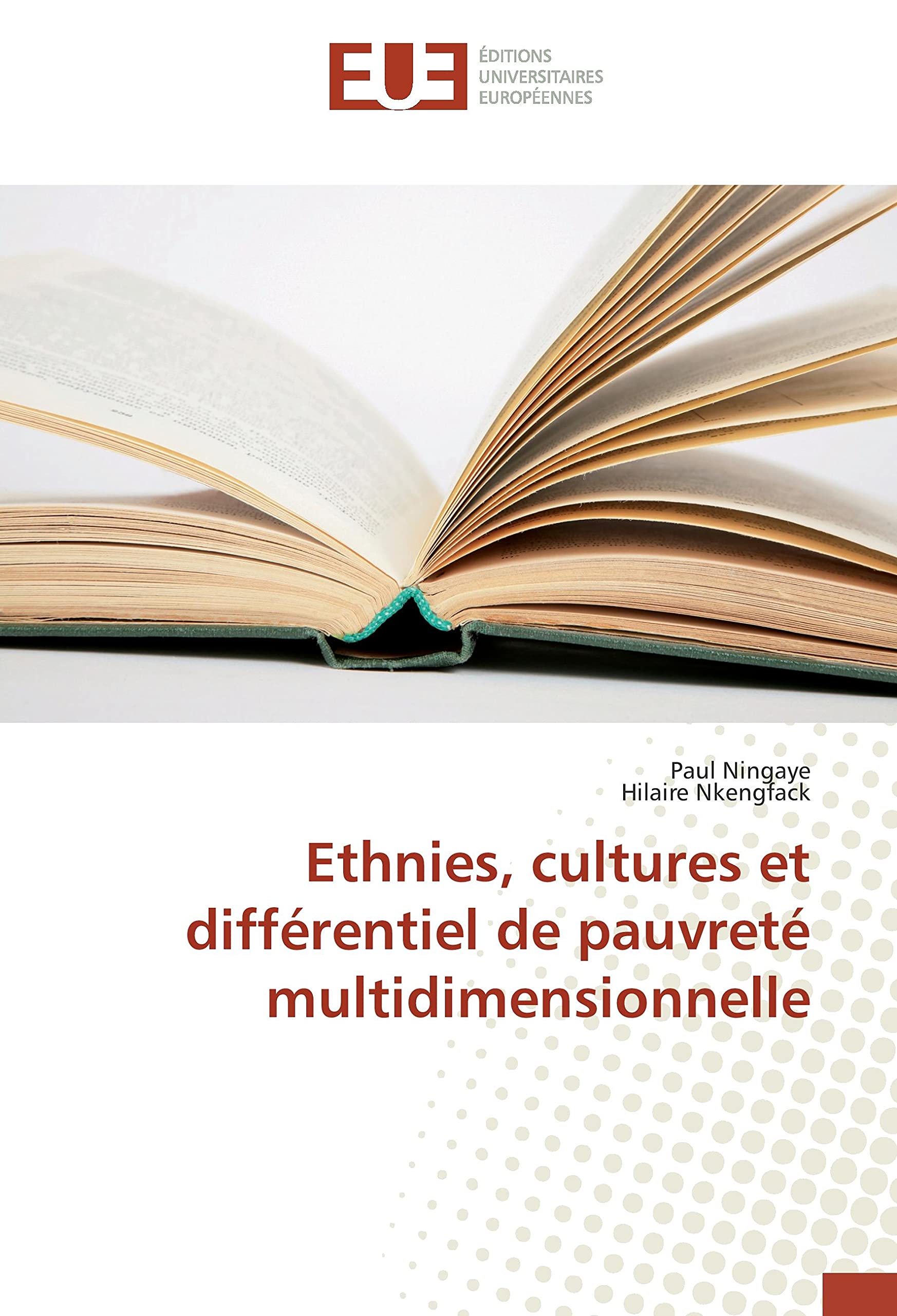 Ethnies, cultures et différentiel de pauvreté multidimensionnelle book