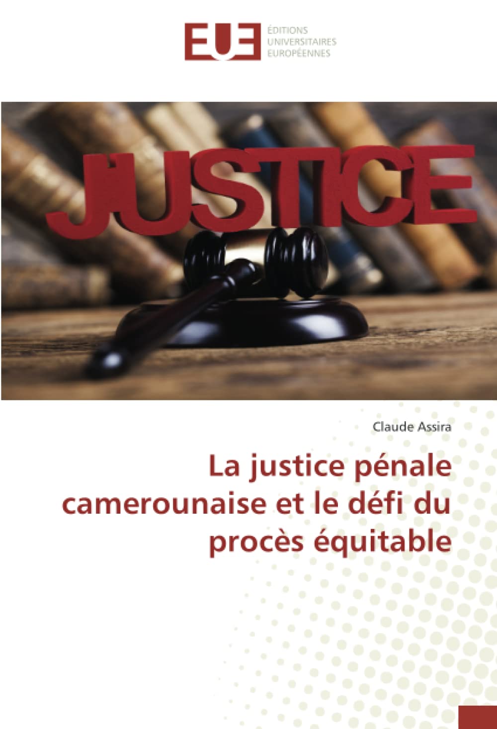 La justice pénale camerounaise et le défi du procès équitable book