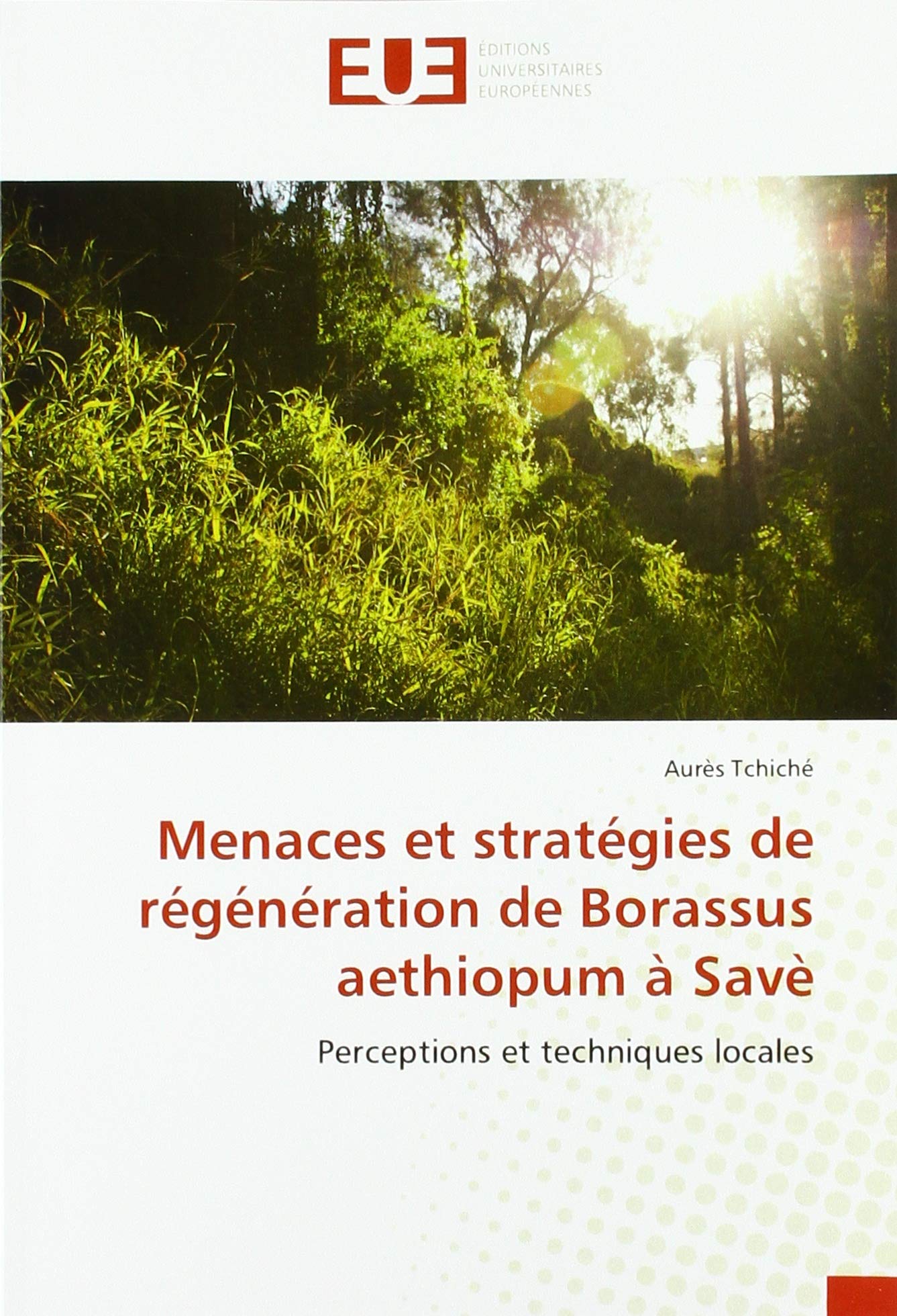 Menaces et stratégies de régénération de Borassus aethiopum à Savè: Perceptions et techniques locales book