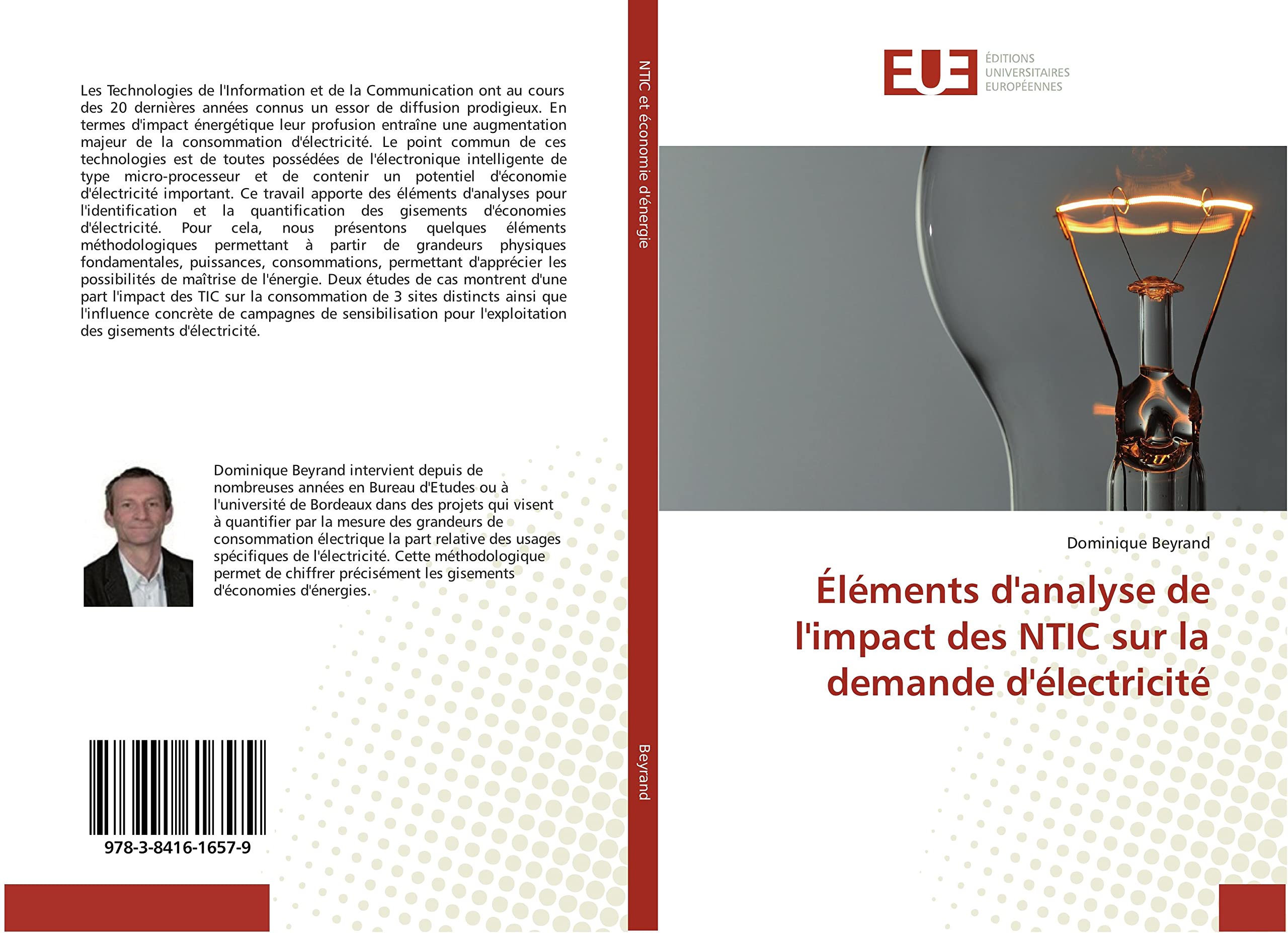 Éléments d'analyse de l'impact des NTIC sur la demande d'électricité book