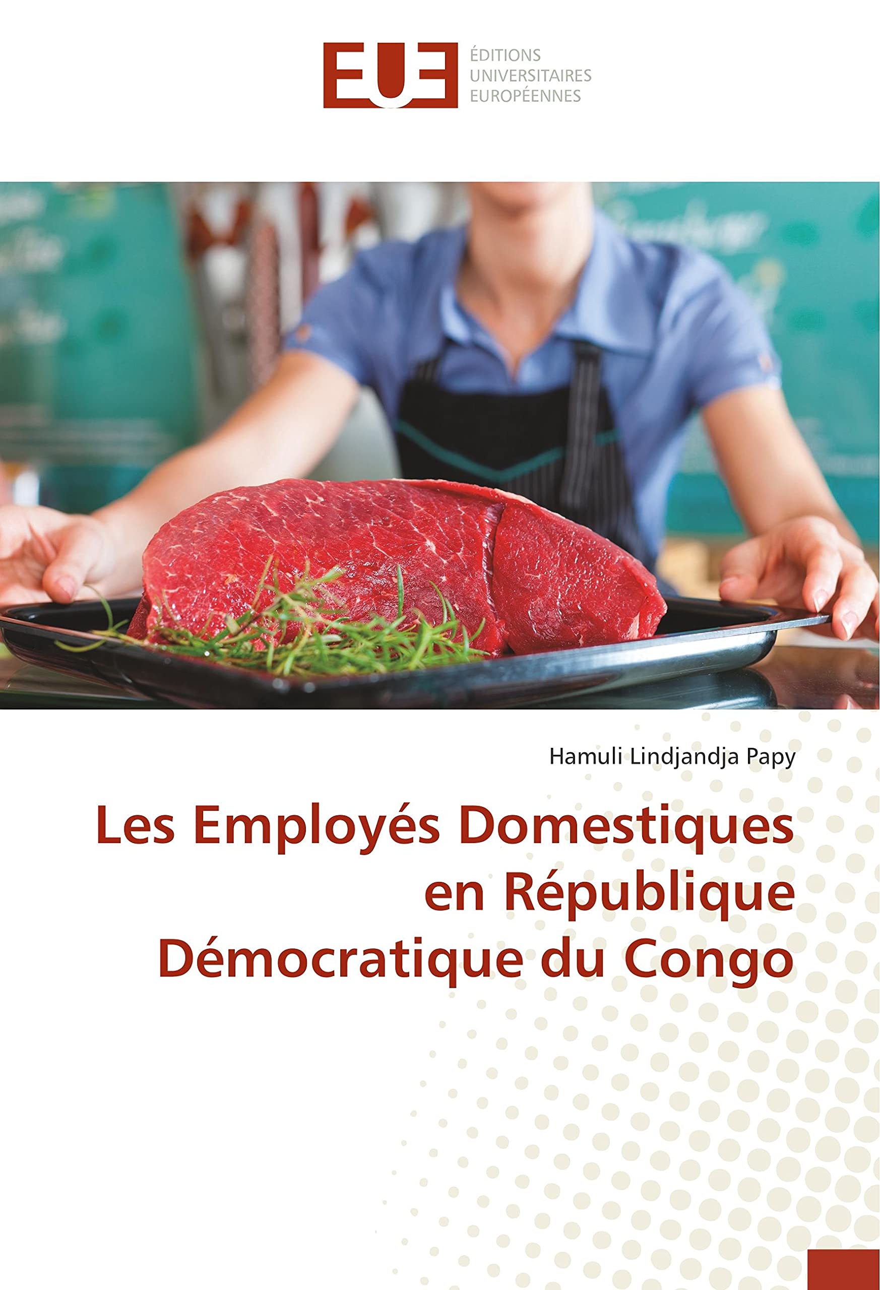 Les employes Domestiques en Republique Democratique du Congo book