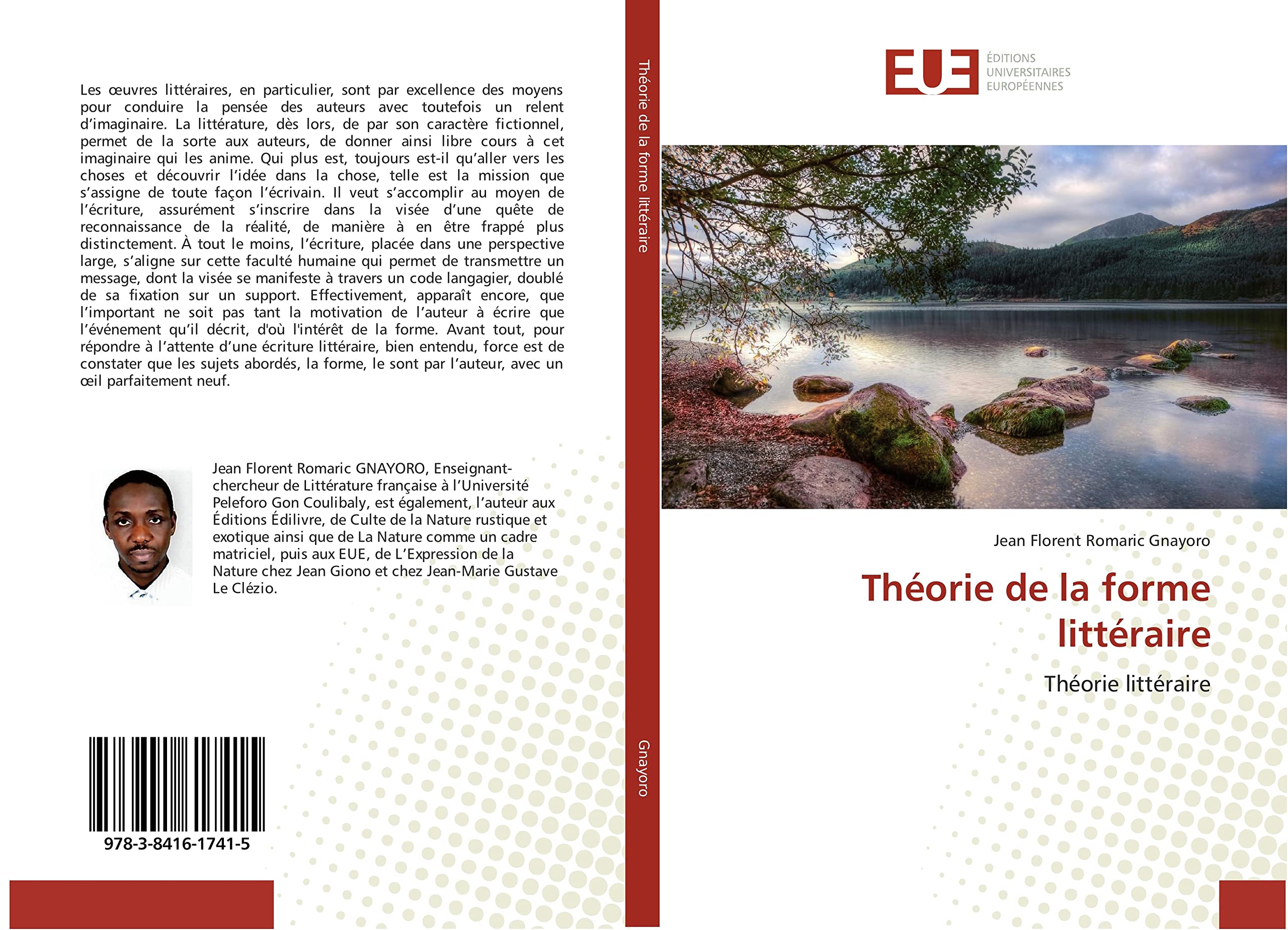 Théorie de la forme littéraire: Théorie littéraire book