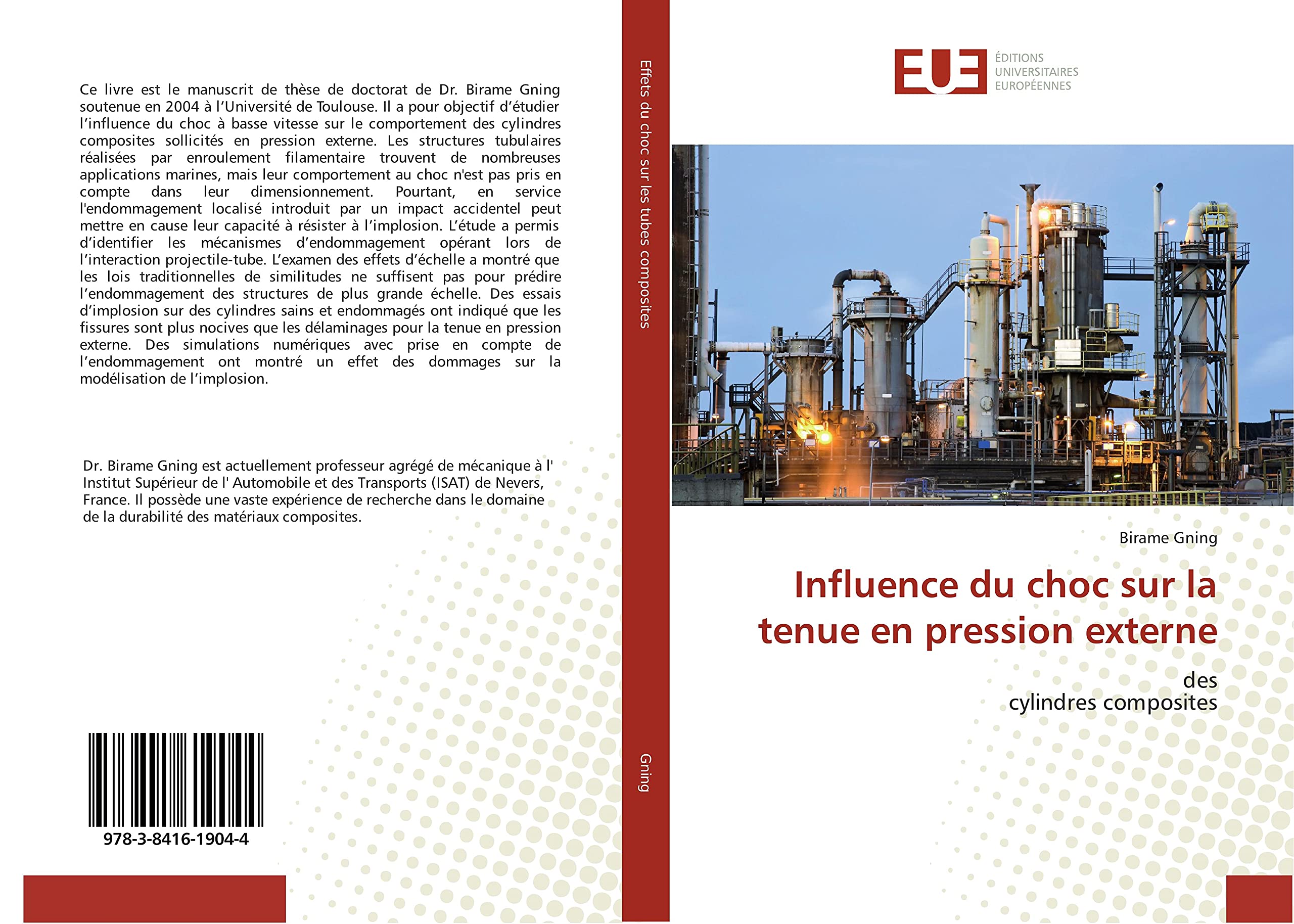 Influence du choc sur la tenue en pression externe: des cylindres composites book