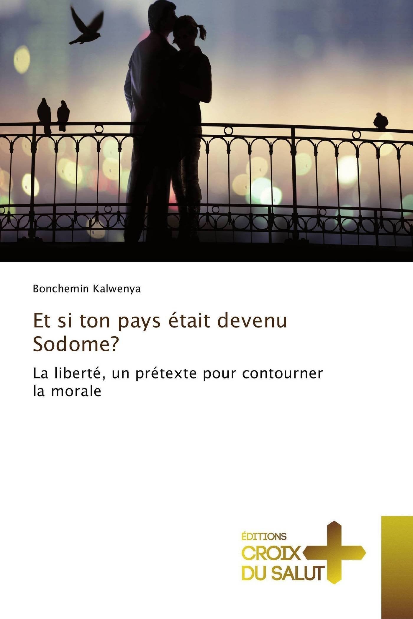 Et si ton pays était devenu Sodome? book