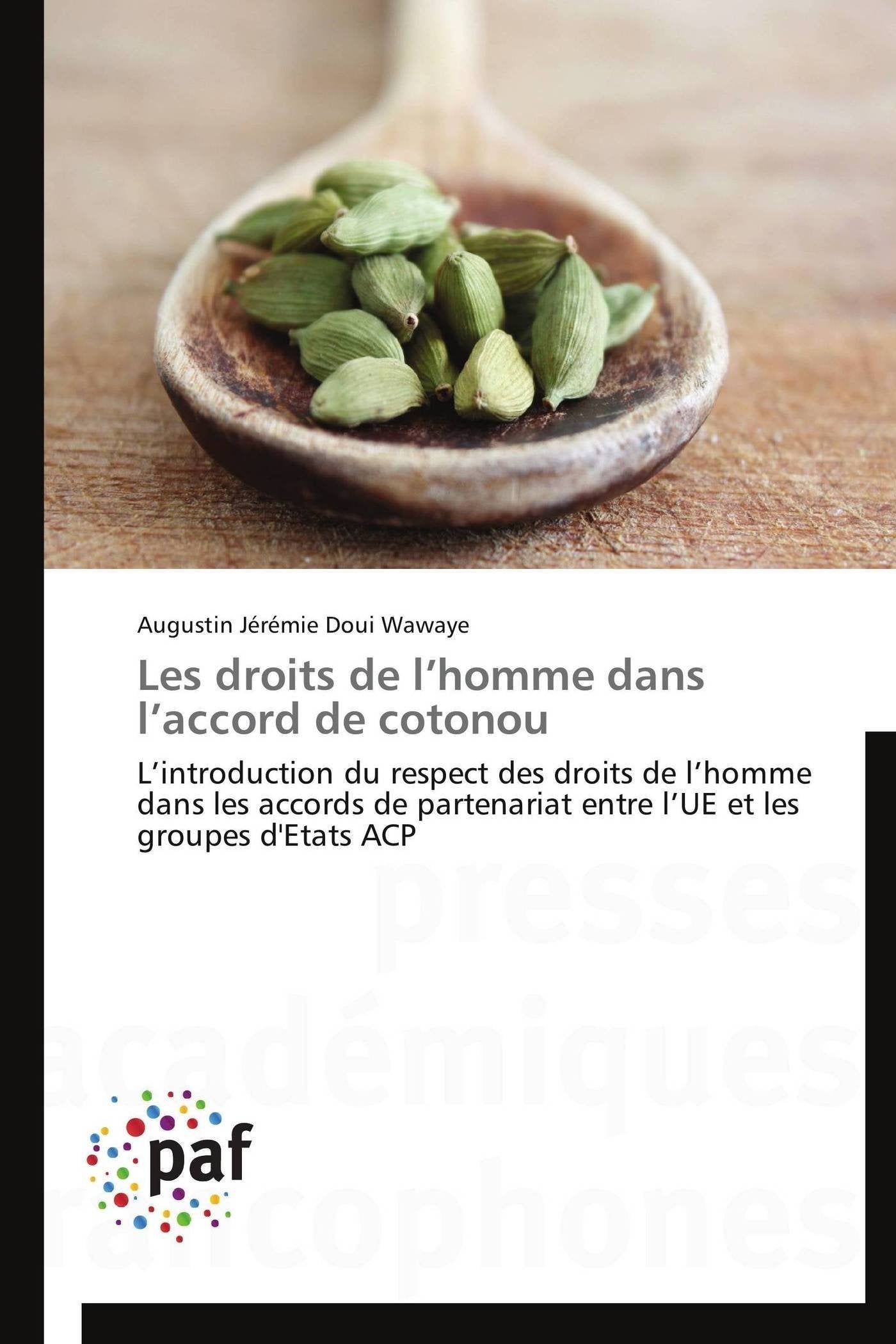 Les droits de l’homme dans l’accord de cotonou: L’introduction du respect des droits de l’homme dans les accords de partenariat entre l’UE et les groupes d'Etats ACP book