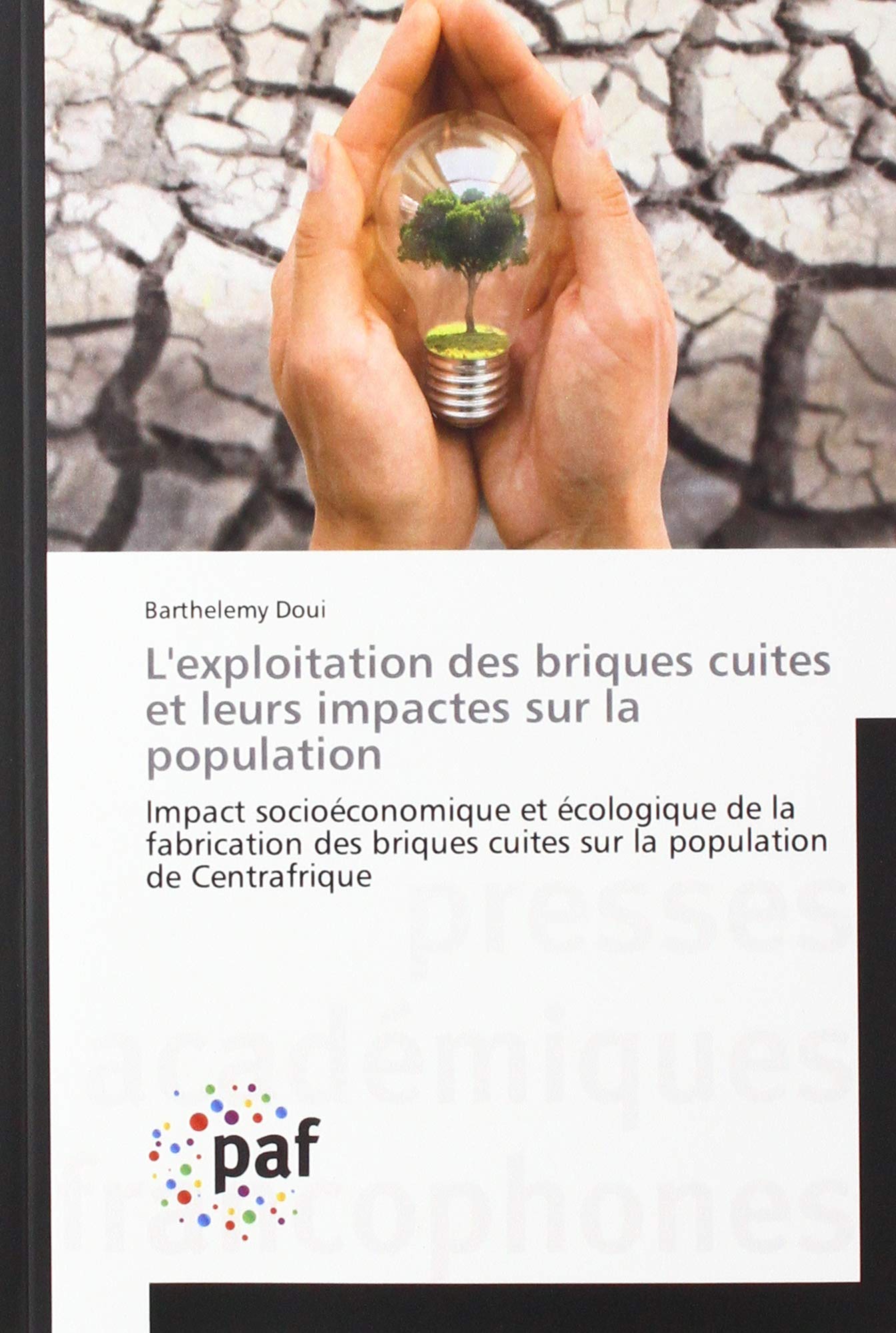 L'exploitation des briques cuites et leurs impactes sur la population: L'analogie entre l'architecture et la musique a l'epoque abbasside book