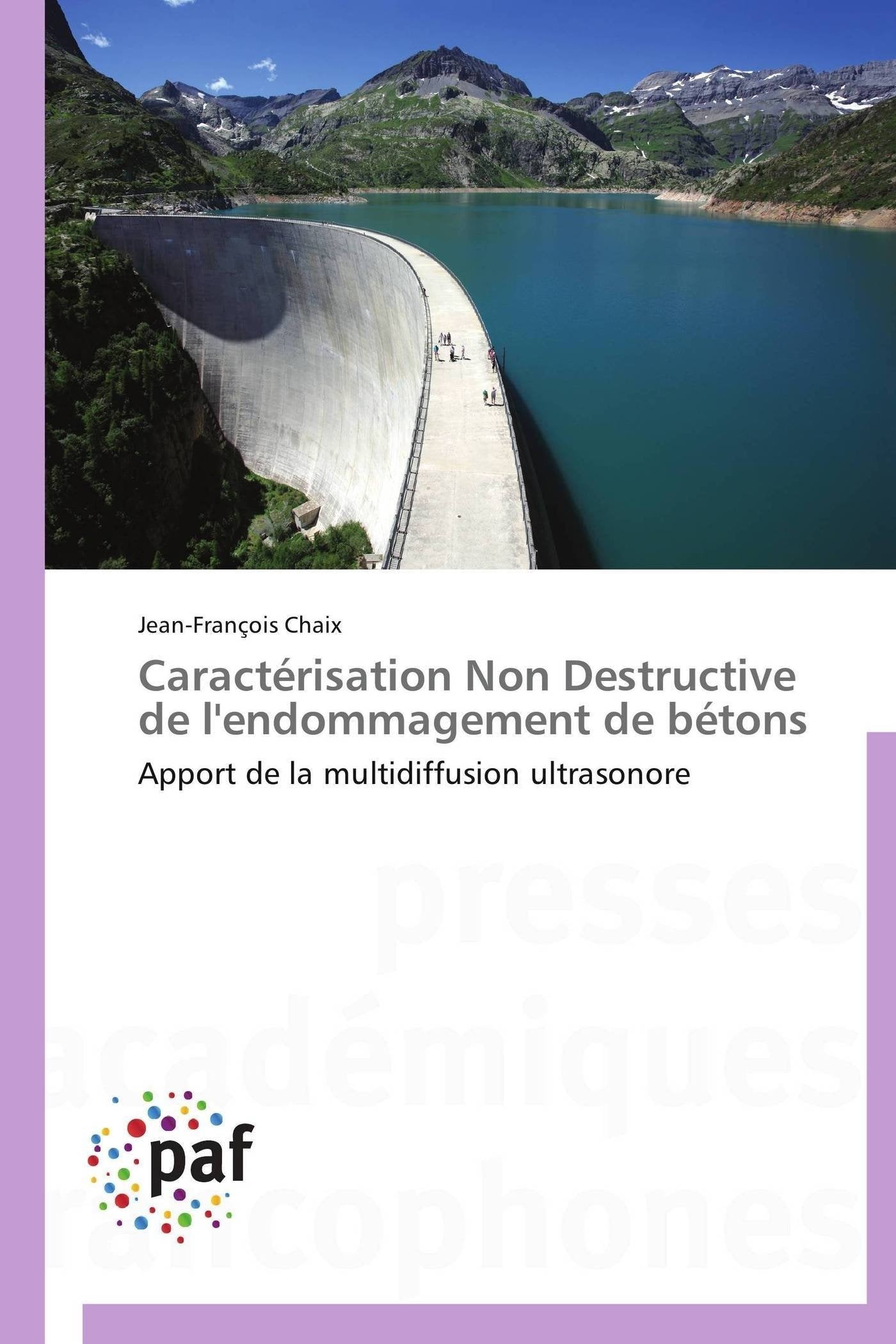 Caractérisation Non Destructive de l'endommagement de bétons: Apport de la multidiffusion ultrasonore book