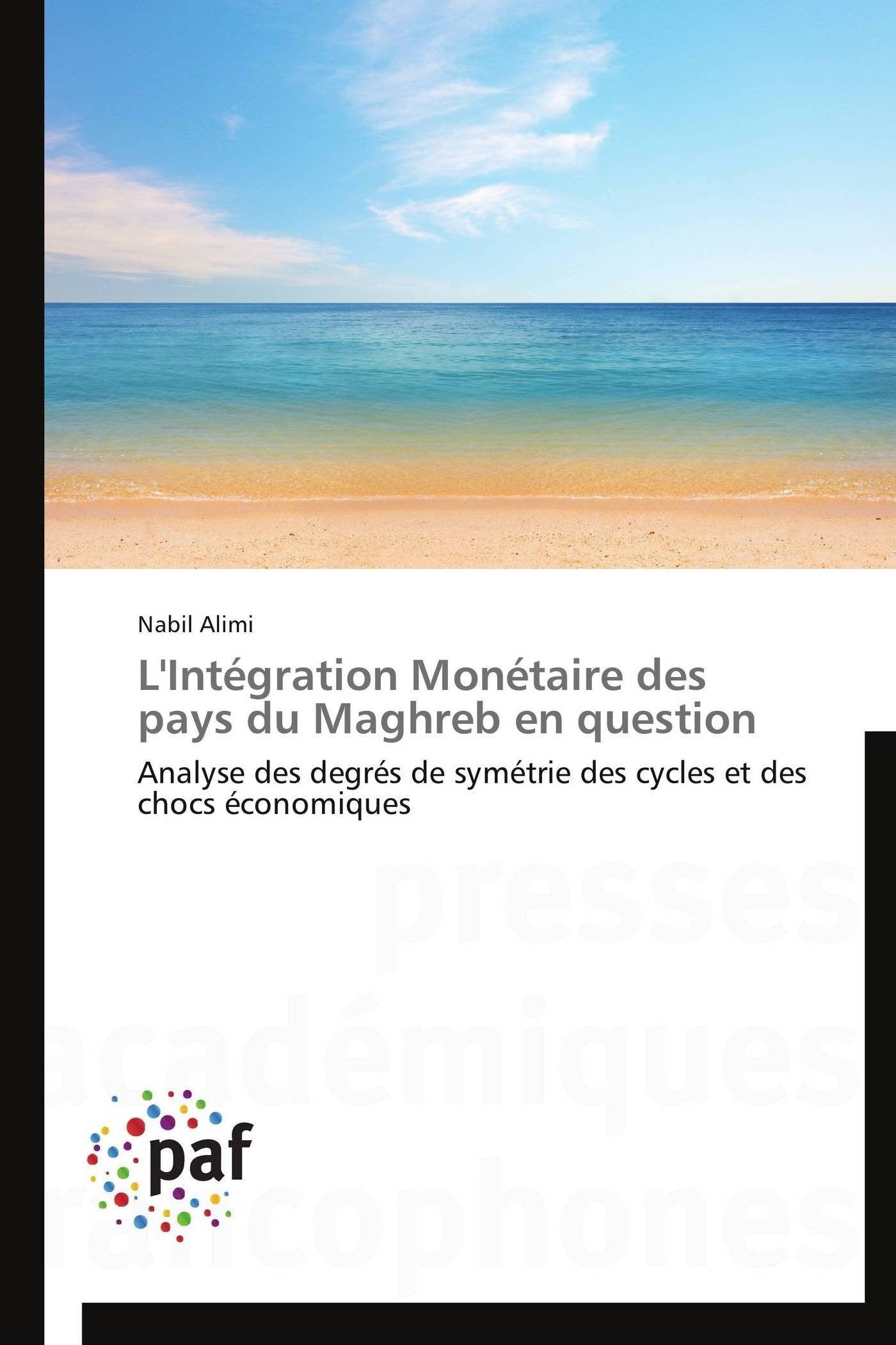 L'Intégration Monétaire des pays du Maghreb en question: Analyse des degrés de symétrie des cycles et des chocs économiques book