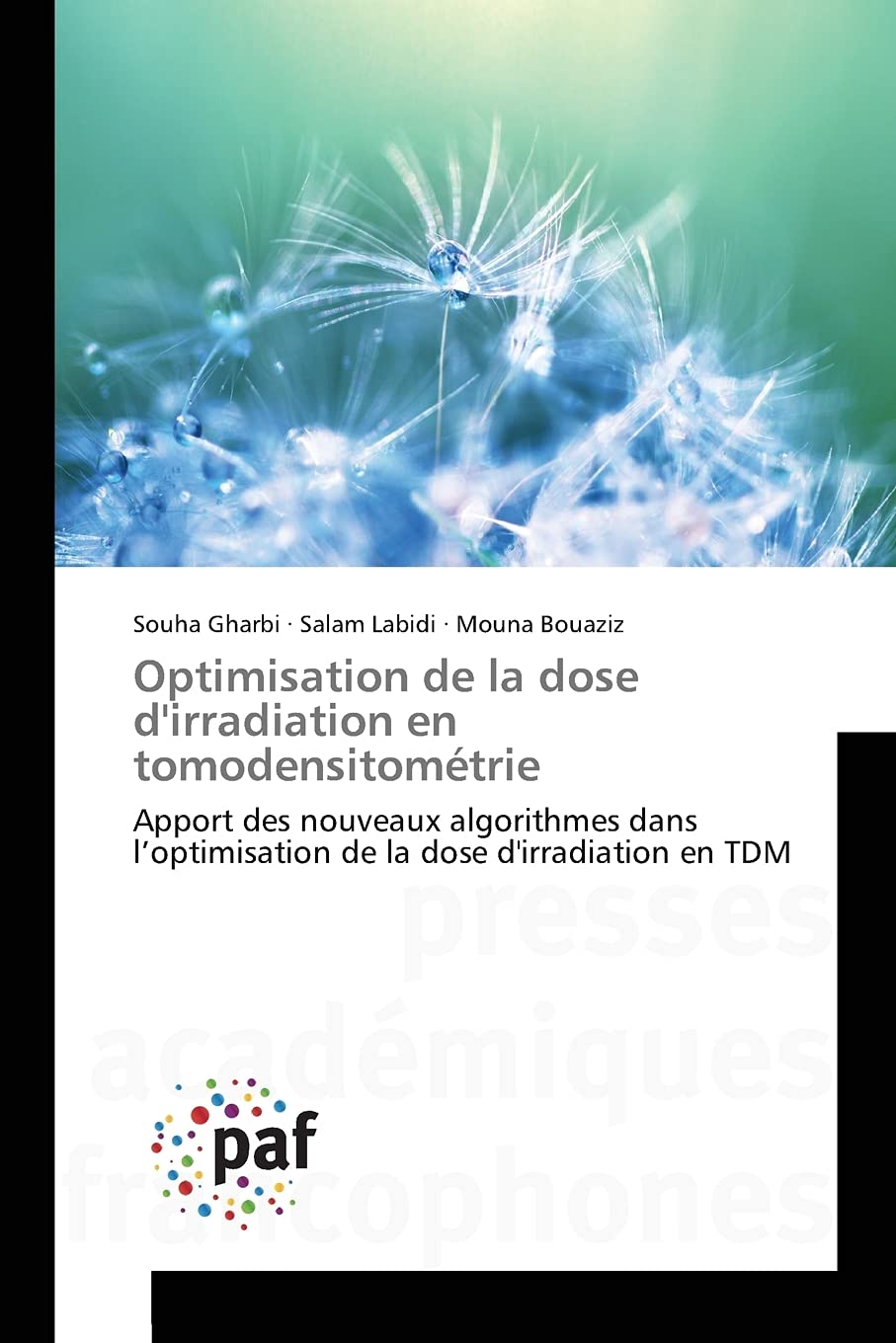 Optimisation de la dose d'irradiation en tomodensitométrie: Apport des nouveaux algorithmes dans l’optimisation de la dose d'irradiation en TDM Natural Sciences