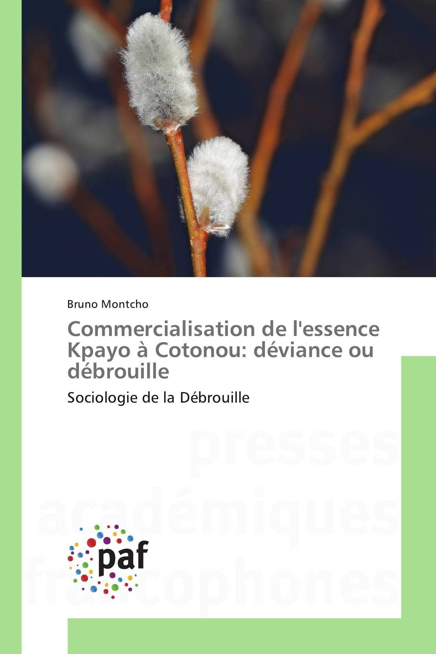 Commercialisation de l'essence Kpayo à Cotonou: déviance ou débrouille: Sociologie de la Débrouille book