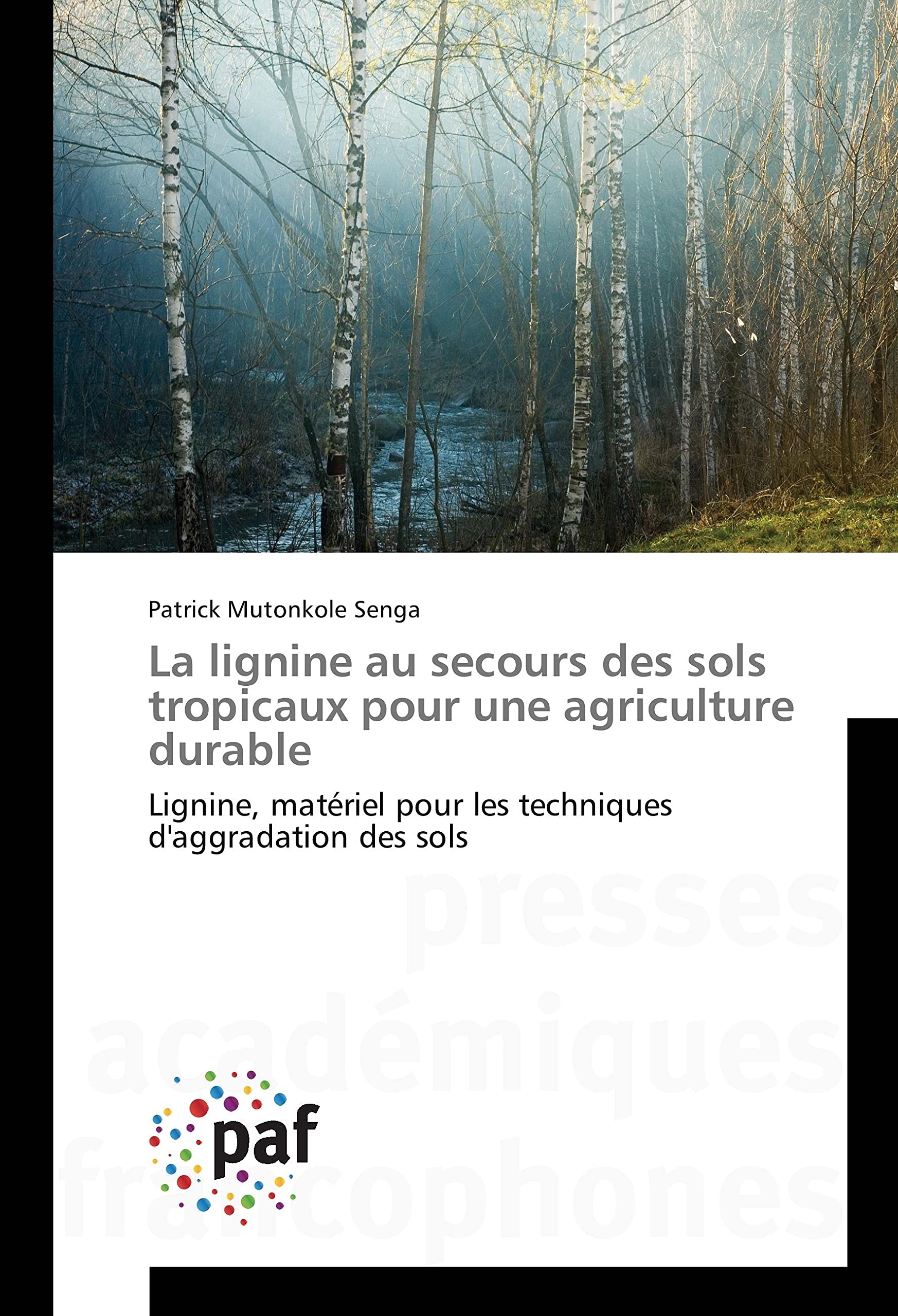 La lignine au secours des sols tropicaux pour une agriculture durable: Lignine, matériel pour les techniques d'aggradation des sols book