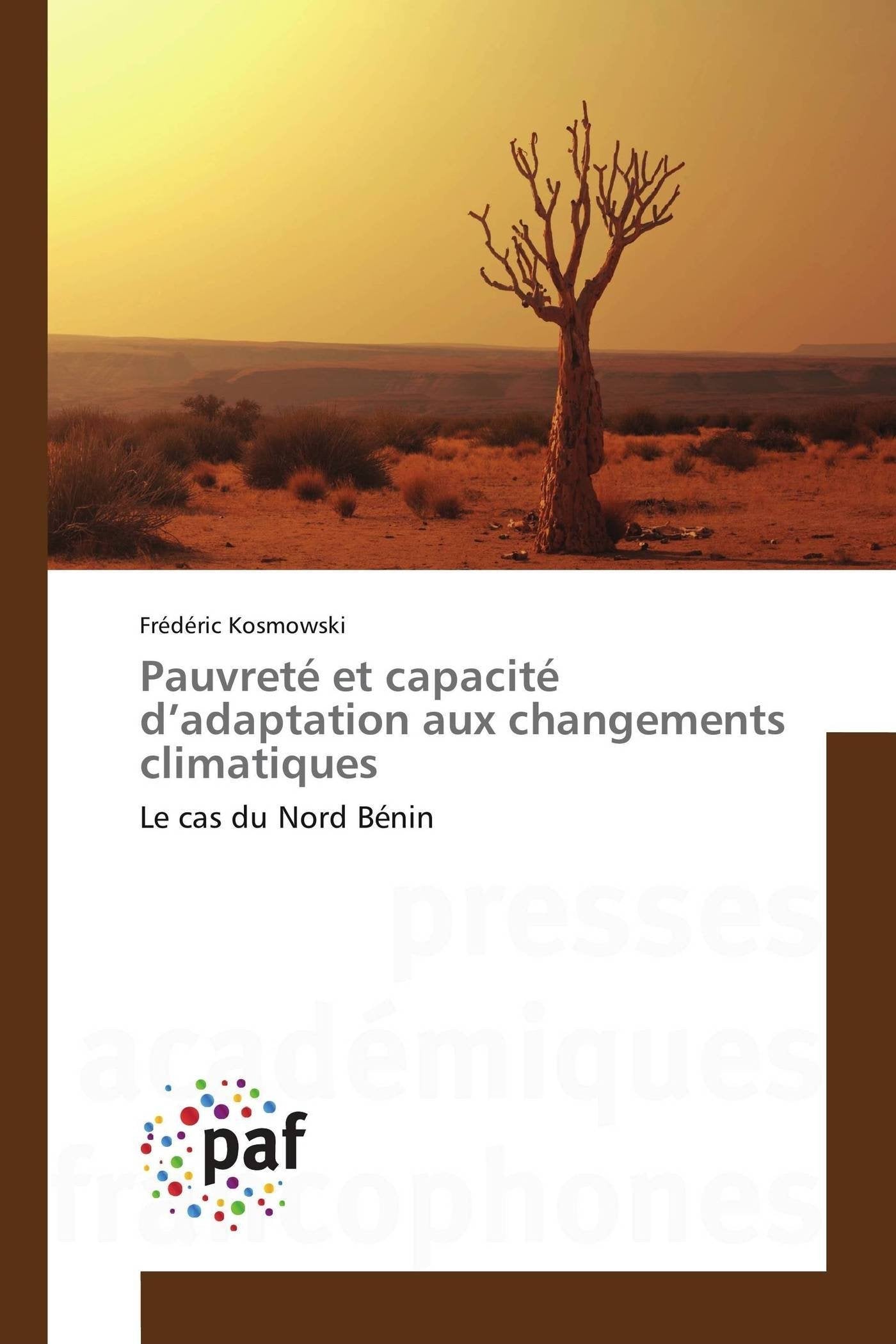 Pauvreté et capacité d’adaptation aux changements climatiques: Le cas du Nord Bénin book
