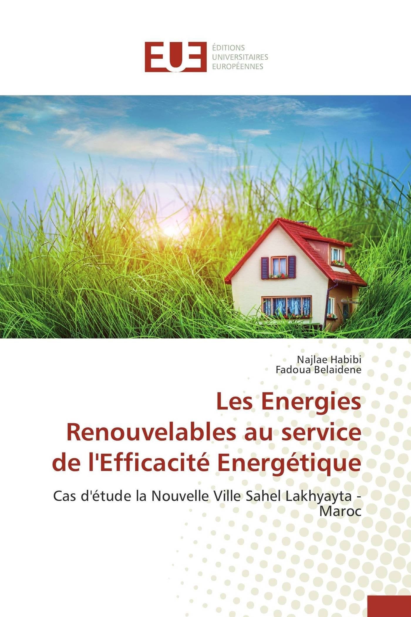 Les energies renouvelables au service de l'efficacité energétique book