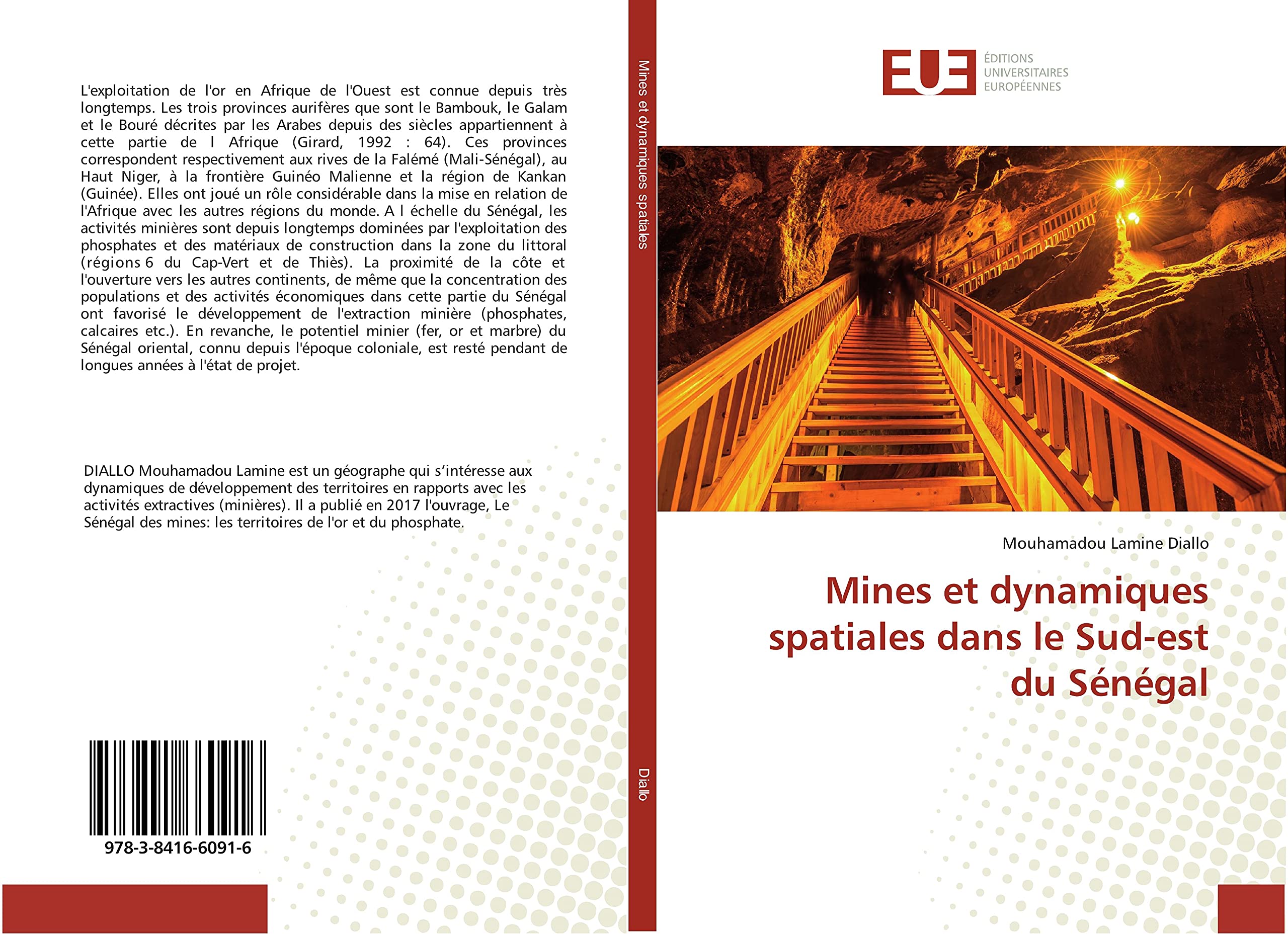 Mines et dynamiques spatiales dans le Sud-est du Sénégal book