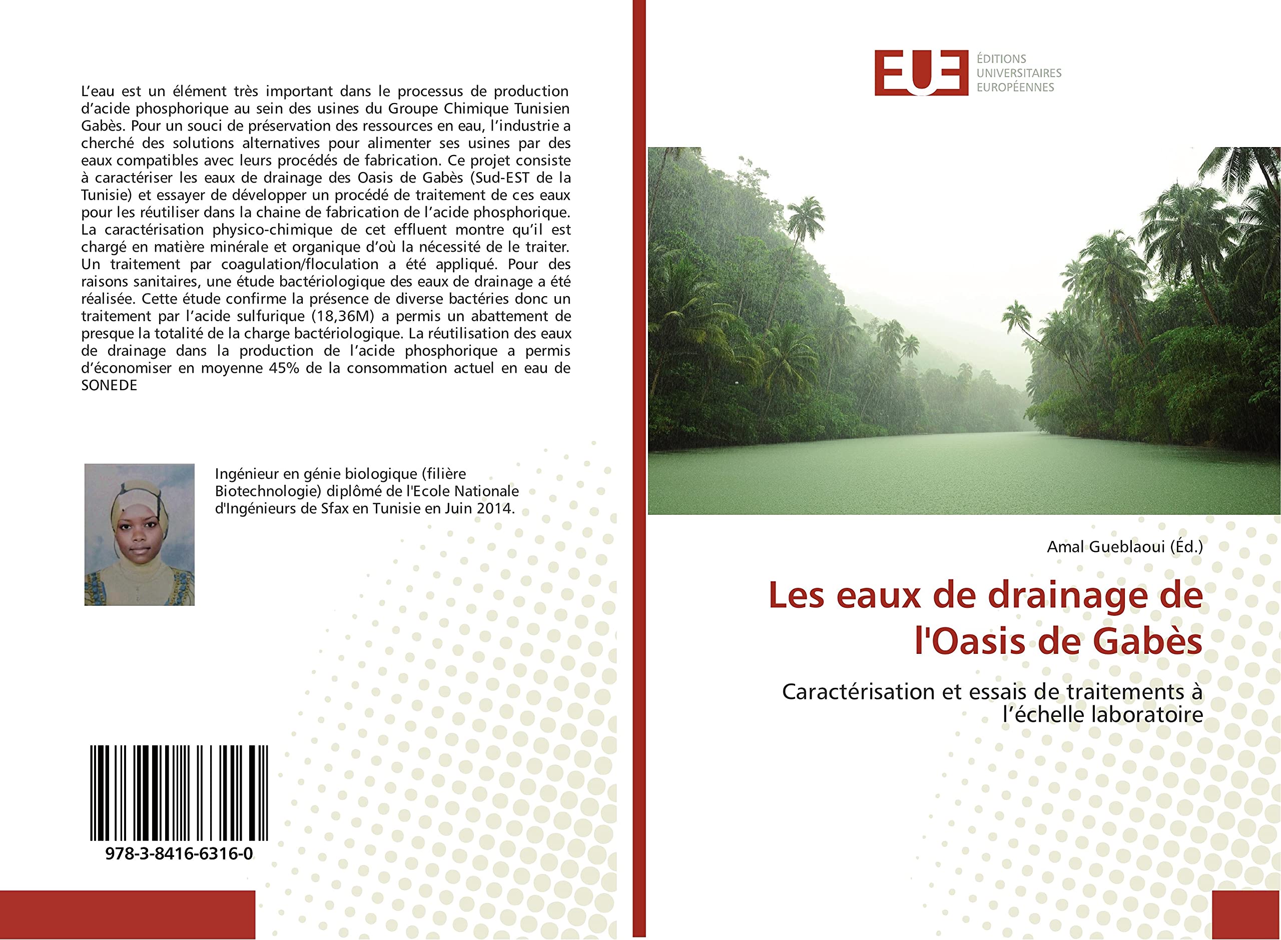 Les eaux de drainage de l'Oasis de Gabès: Caractérisation et essais de traitements à l’échelle laboratoire book