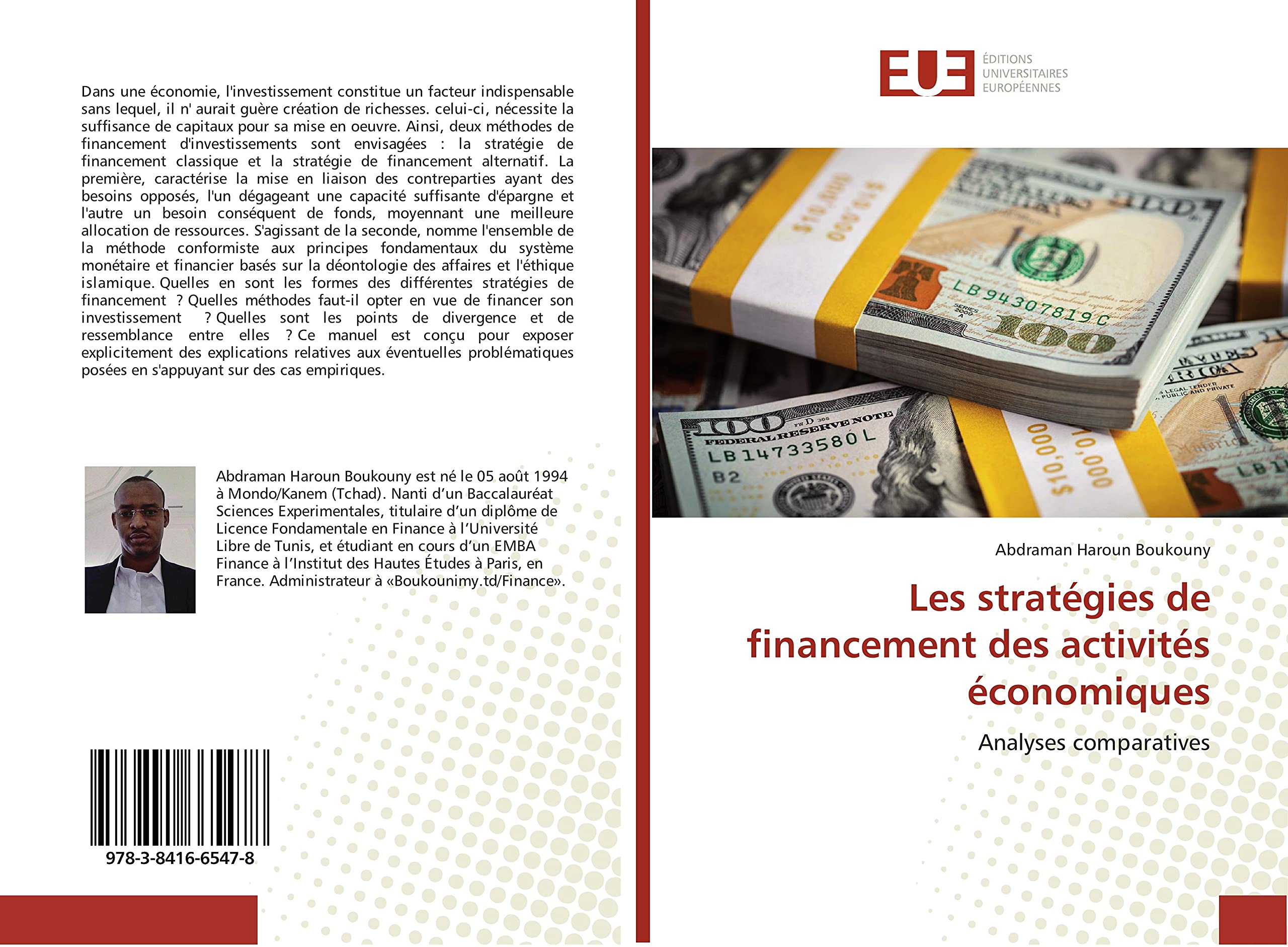 Les stratégies de financement des activités économiques: Analyses comparatives book