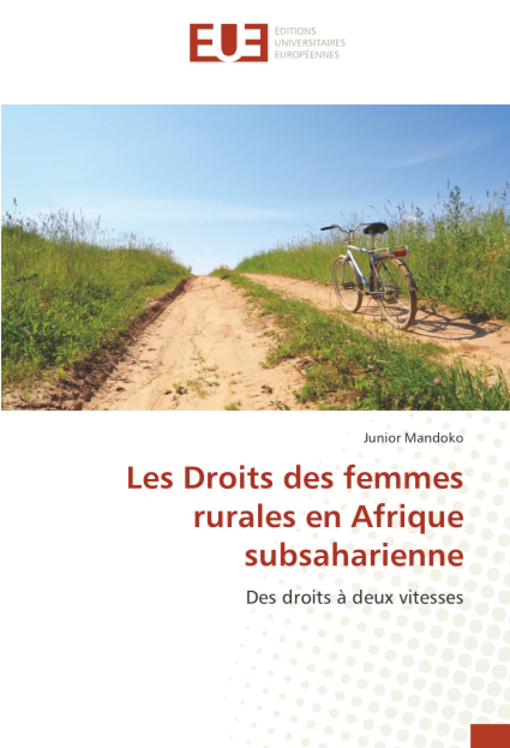 Les Droits des femmes rurales en Afrique subsaharienne: Des droits à deux vitesses book