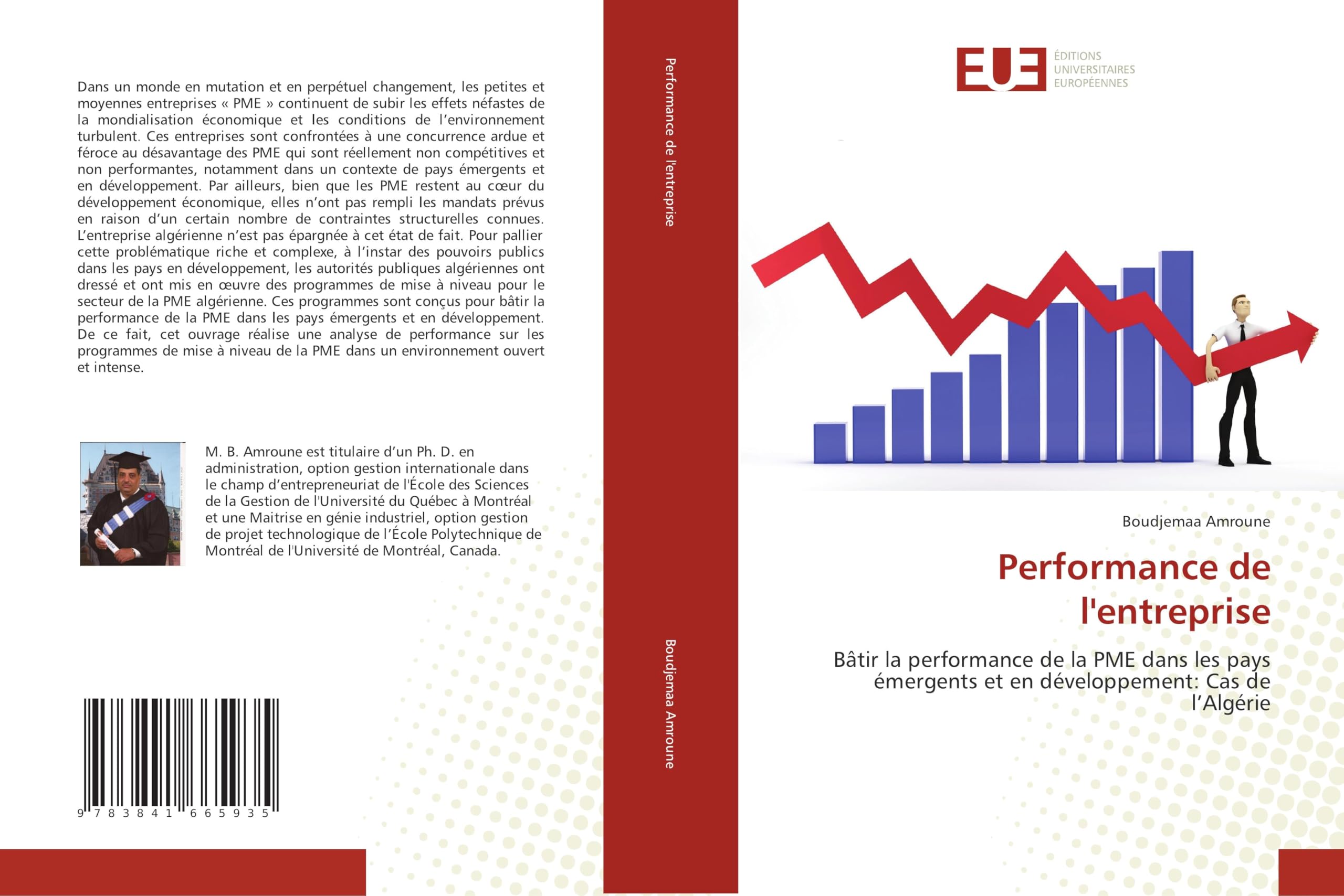 Performance de l'entreprise: Bâtir la performance de la PME dans les pays émergents et en développement: Cas de l’Algérie book