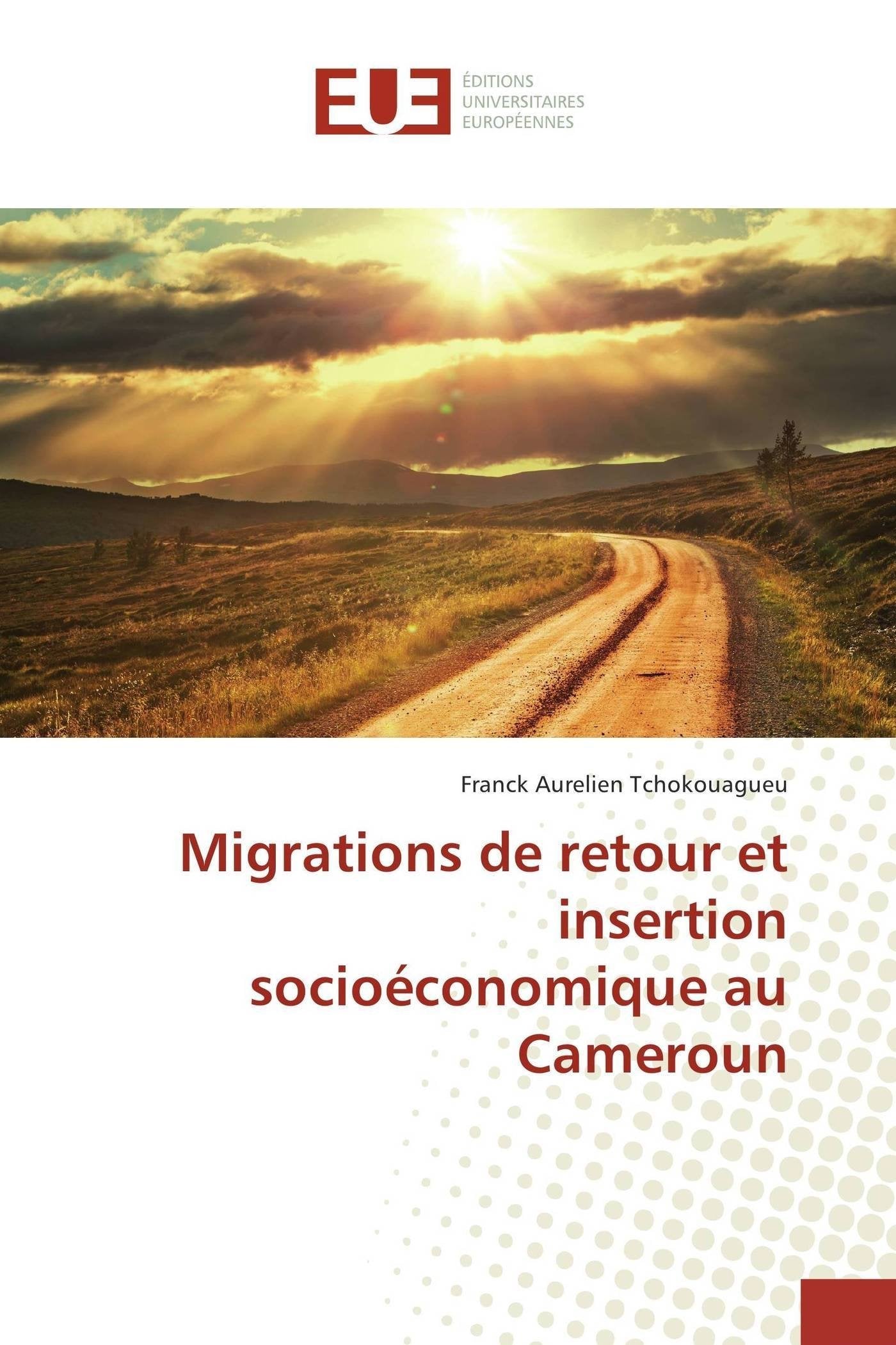 Migrations de retour et insertion socioéconomique au cameroun book