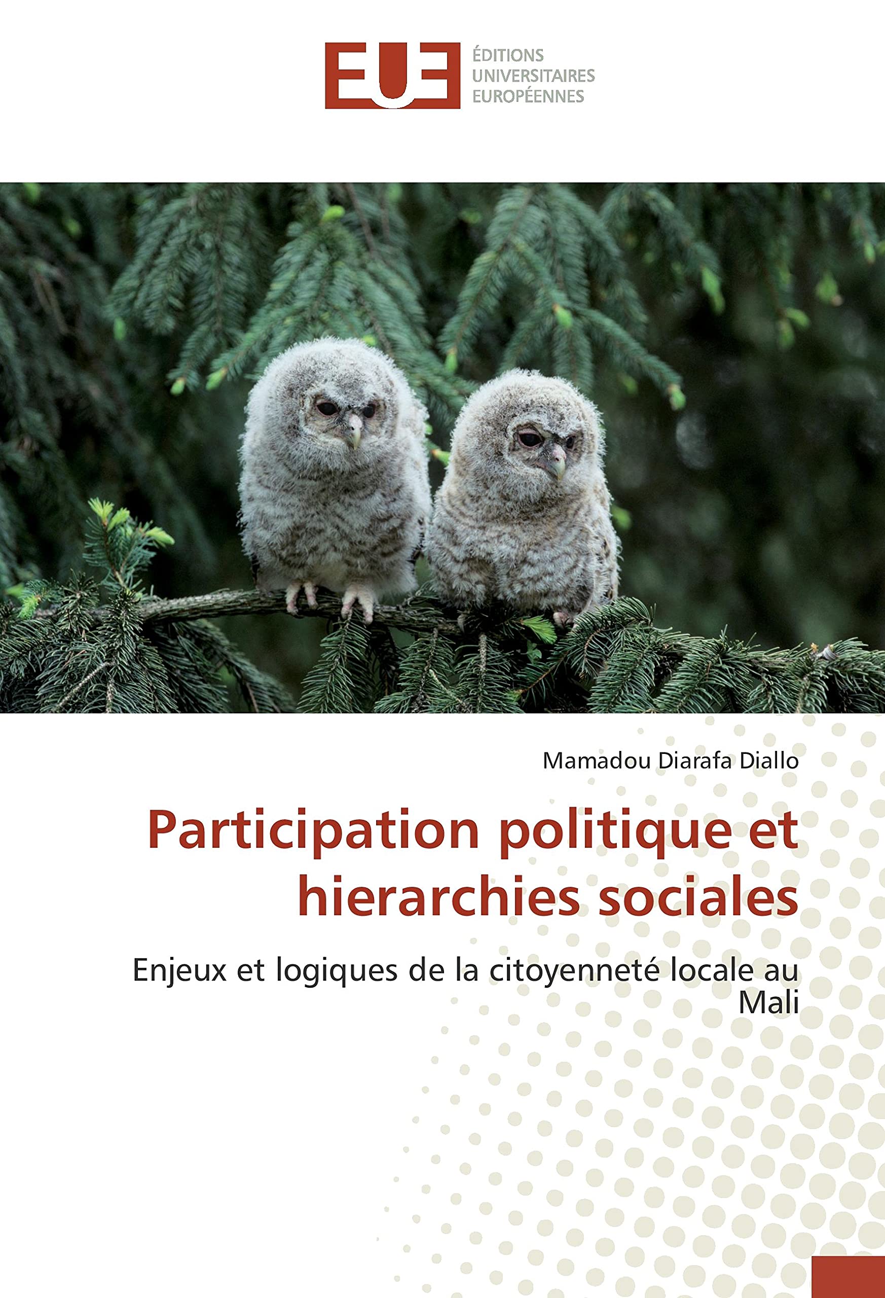 Participation politique et hierarchies sociales: Enjeux et logiques de la citoyenneté locale au Mali book