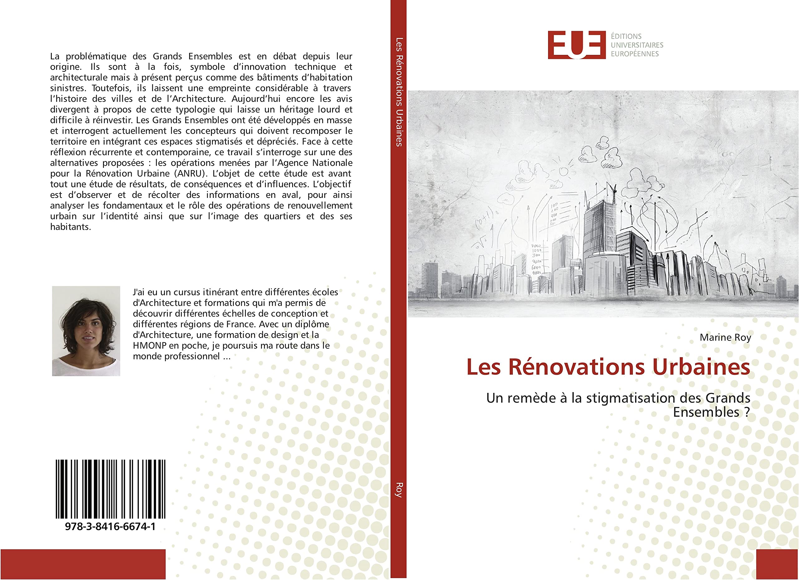 Les Rénovations Urbaines: Un remède à la stigmatisation des Grands Ensembles ? book