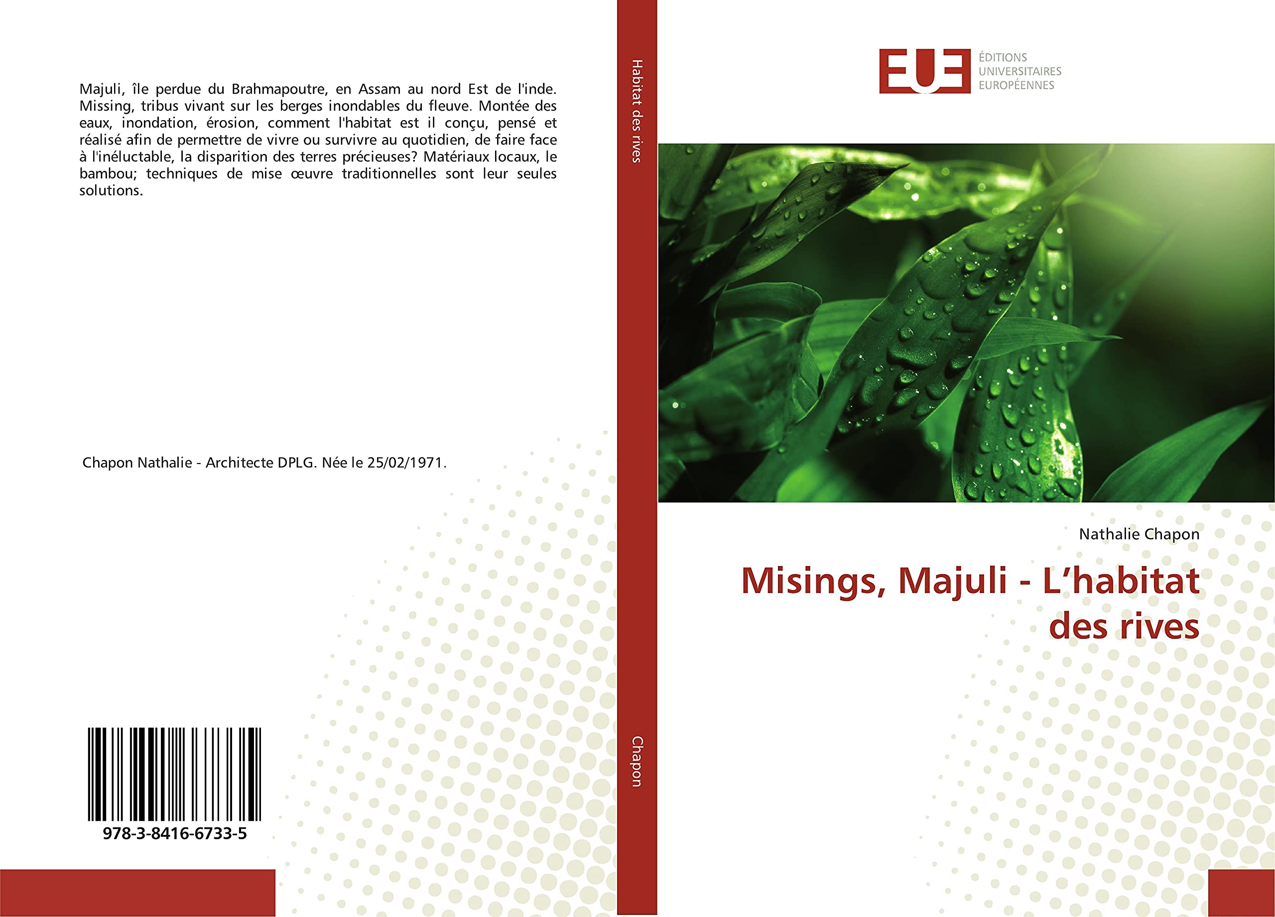 Misings, Majuli - L’habitat des rives book