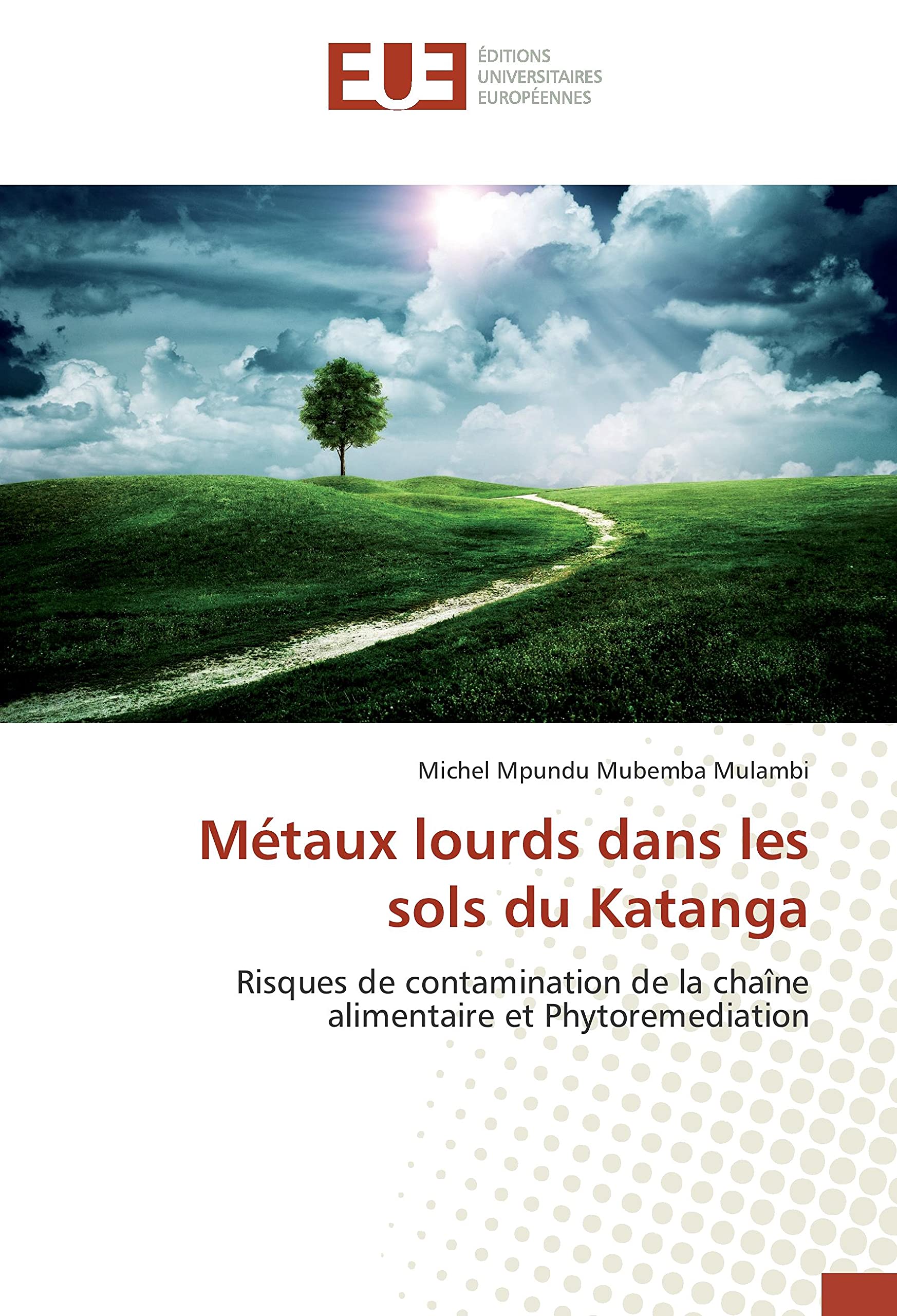 Métaux lourds dans les sols du Katanga: Risques de contamination de la chaîne alimentaire et Phytoremediation book