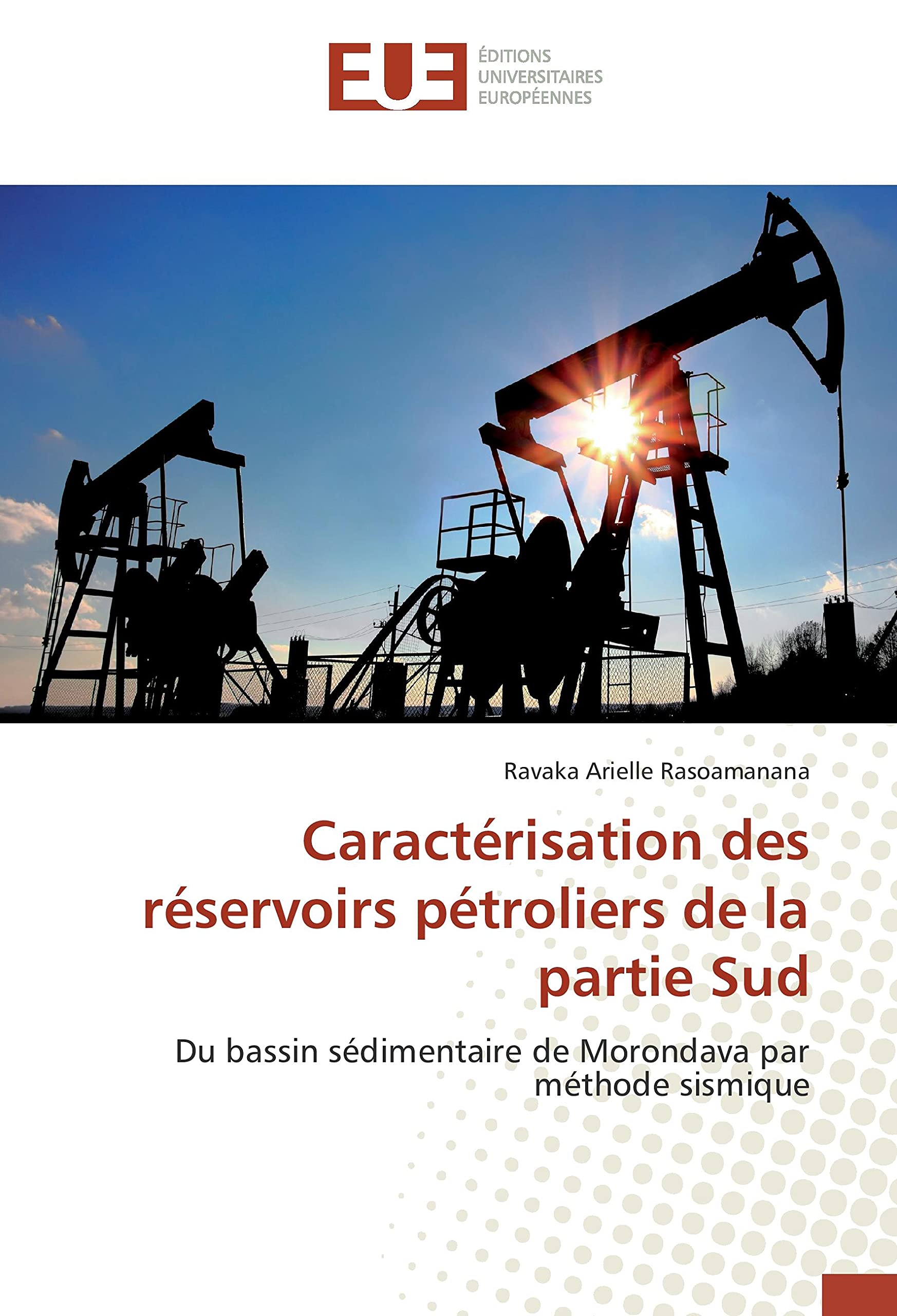 Caractérisation des réservoirs pétroliers de la partie Sud: Du bassin sédimentaire de Morondava par méthode sismique book