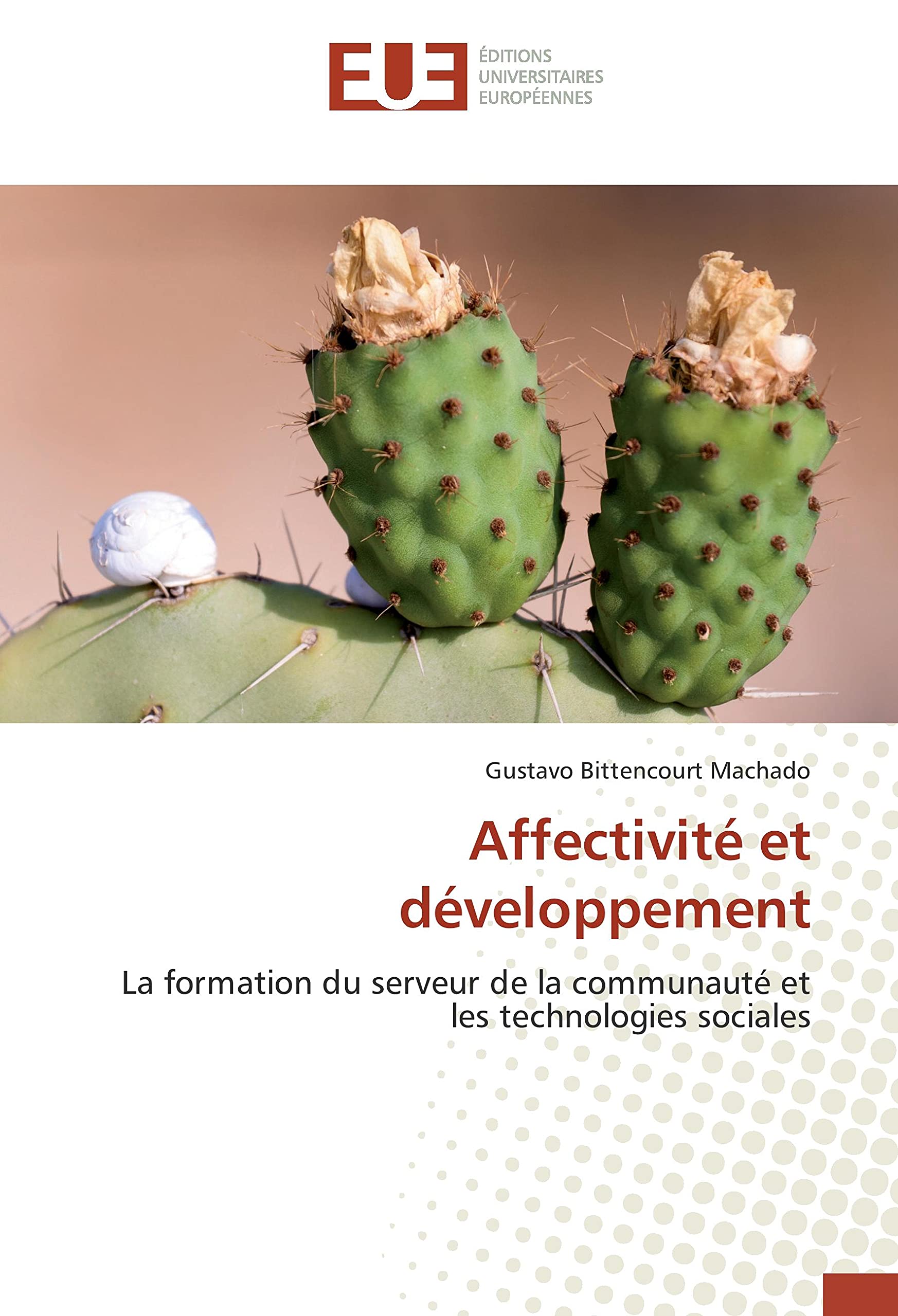 Affectivité et développement: La formation du serveur de la communauté et les technologies sociales book