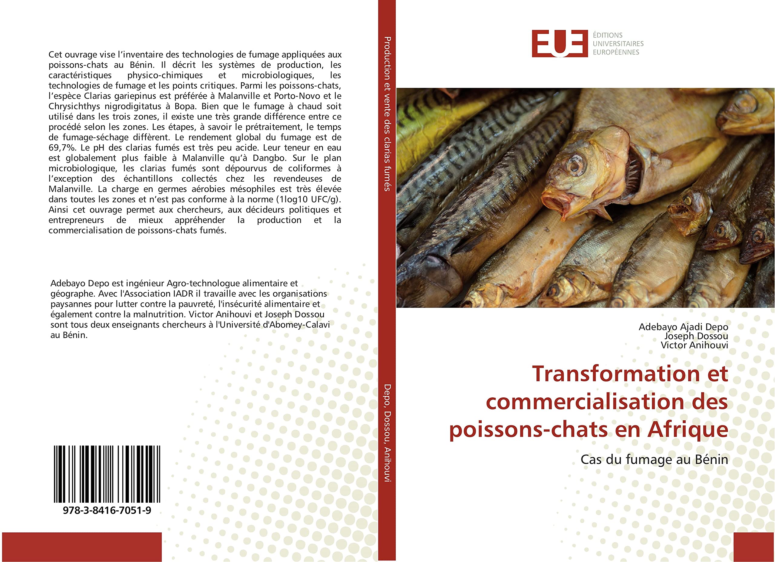 Transformation et commercialisation des poissons-chats en Afrique: Cas du fumage au Bénin book
